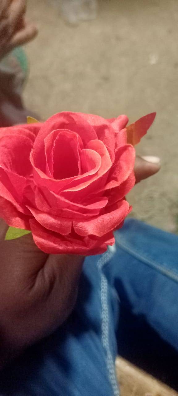 Roses Flower-https://media.vyaparify.com/vcards/products/475239/product_1767429899_6958d70b86c89.png Image