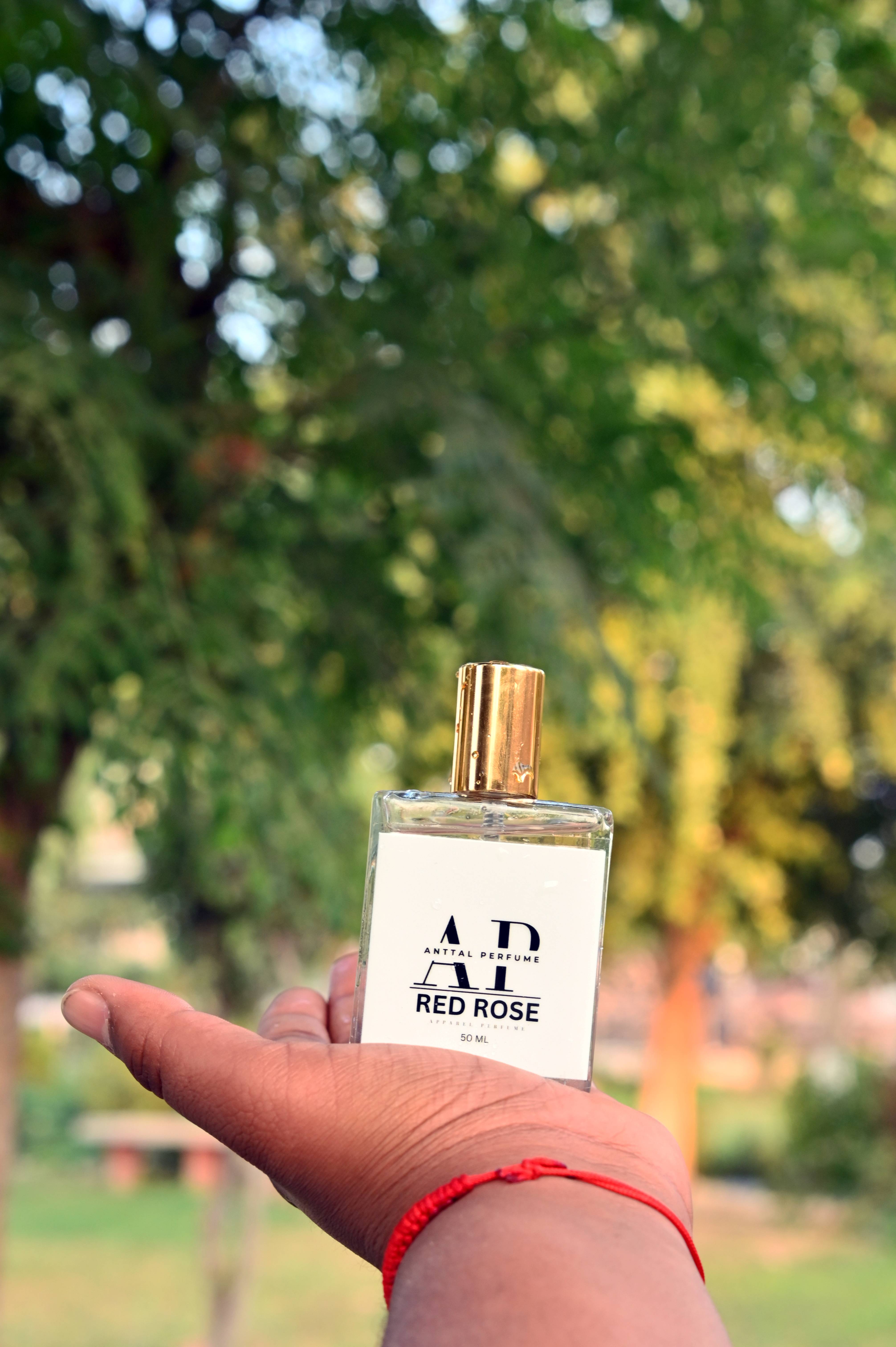 Women Perfume in Kaithal - Red Rose Women Perfume with 100ml Bottle-https://media.vyaparify.com/vcards/products/478507/product_1767703887_695d054ff014a.png Image