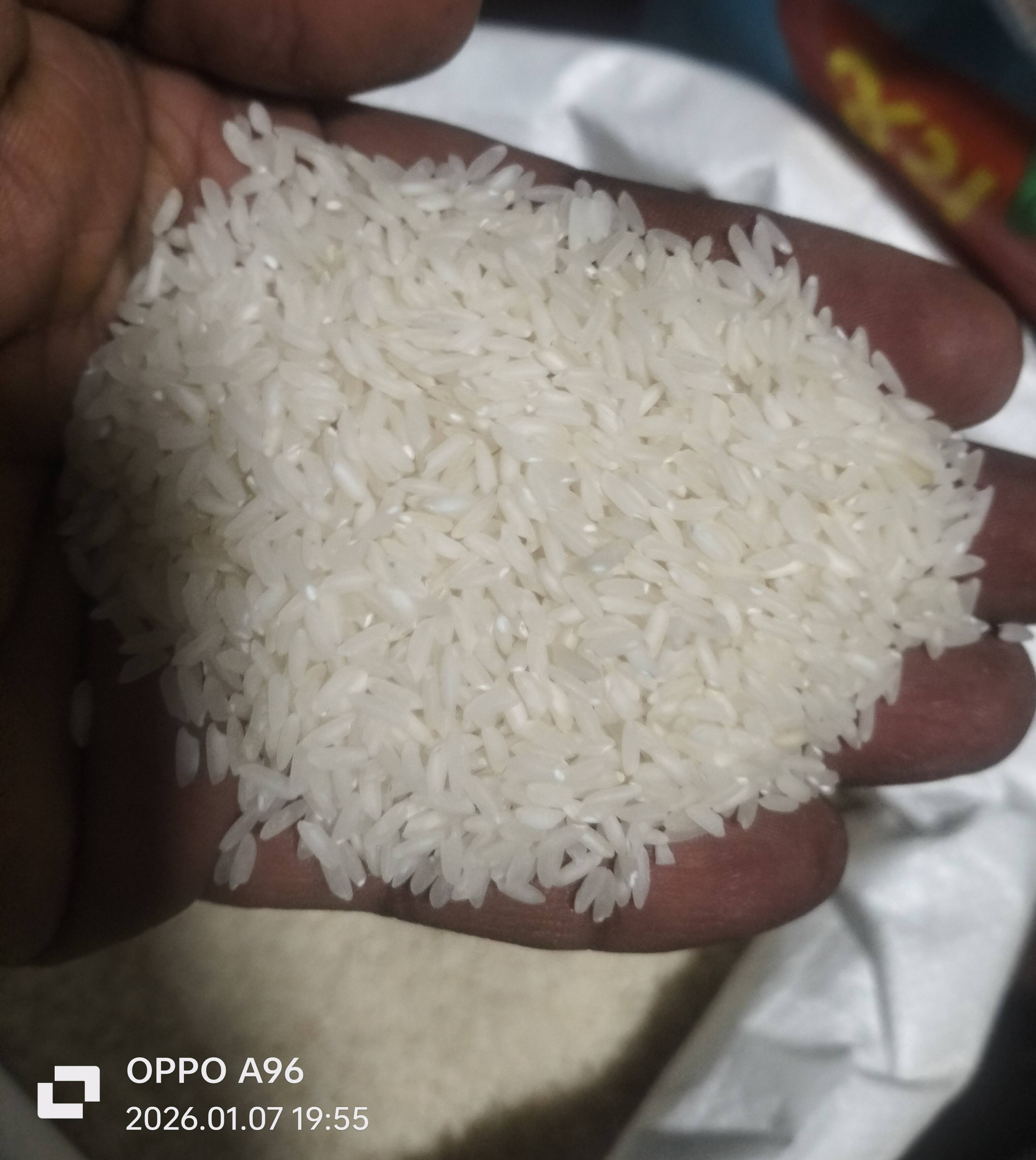 Laxmi Gujrat 17 Rice in Navsari - Premium Quality-https://media.vyaparify.com/vcards/products/479857/product_1767795987_695e6d13d2549.png Image