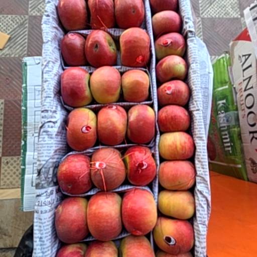 Apple Wholesale in Guwahati: Fresh Fruits for Your Needs-https://media.vyaparify.com/vcards/products/480061/product_1767851583_695f463f56759.png Image