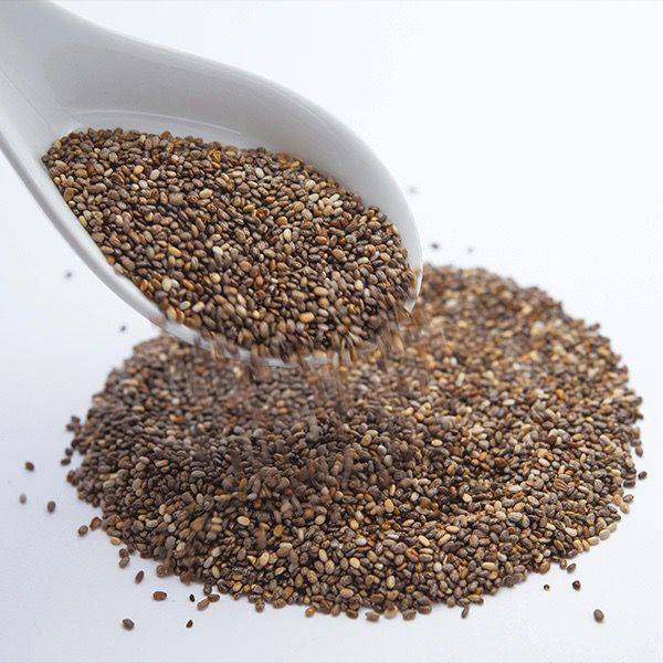 Organic Chia Seeds in Delhi - Packed with Antioxidants and Essential Nutrients-https://media.vyaparify.com/vcards/products/480303/product_1767858235_695f603b8e8e7.png Image