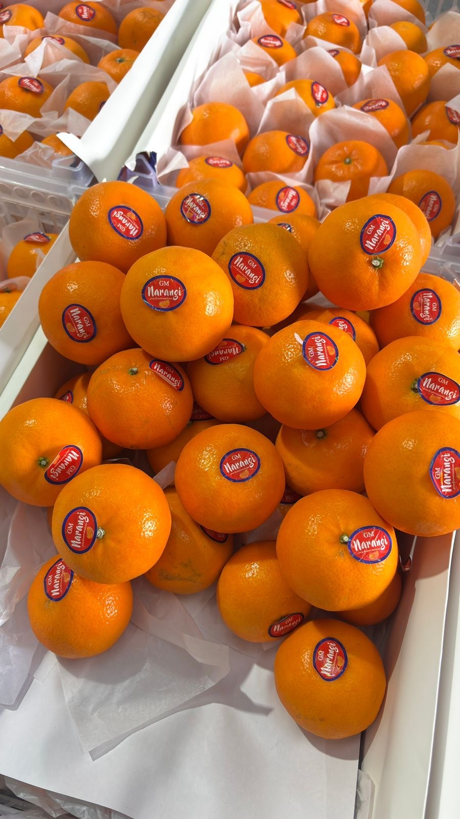 Mini Orange | KG in Ahmedabad City: Delicious and Nutritious Snack-https://media.vyaparify.com/vcards/products/483285/product_1768198139_69648ffb80cf8.png Image