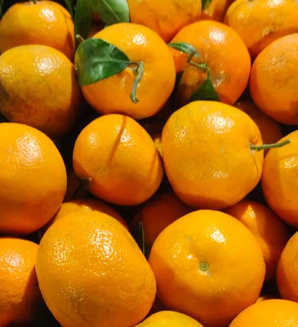 Fresh Oranges in Islamabad: Sweet and Tangy, Rich in Vitamin C-https://media.vyaparify.com/vcards/products/486283/product_1768386651_6967705b0625a.png Image