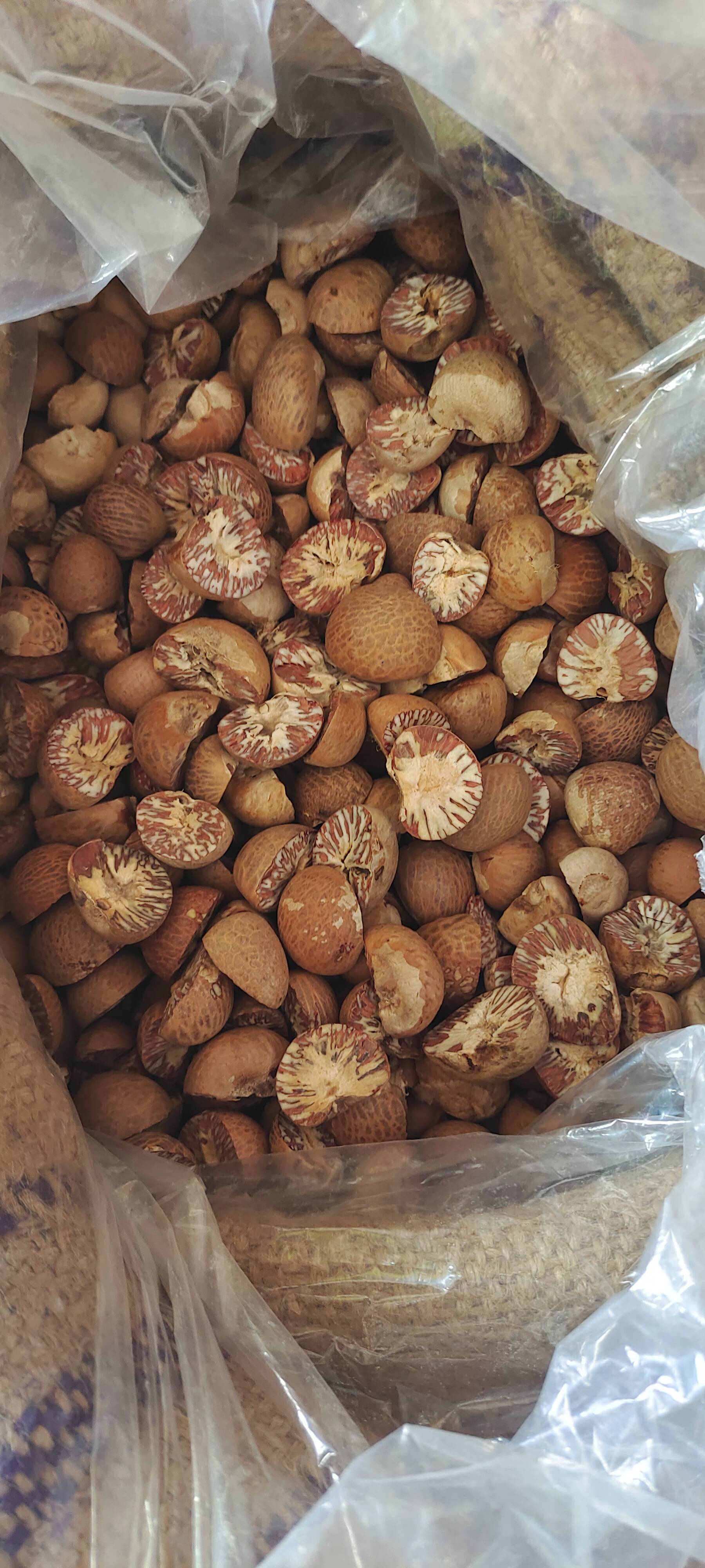 Supari + Always in Kandapasra Bazar + Digestive-https://media.vyaparify.com/vcards/products/490715/product_1768815635_696dfc13d7720.png Image