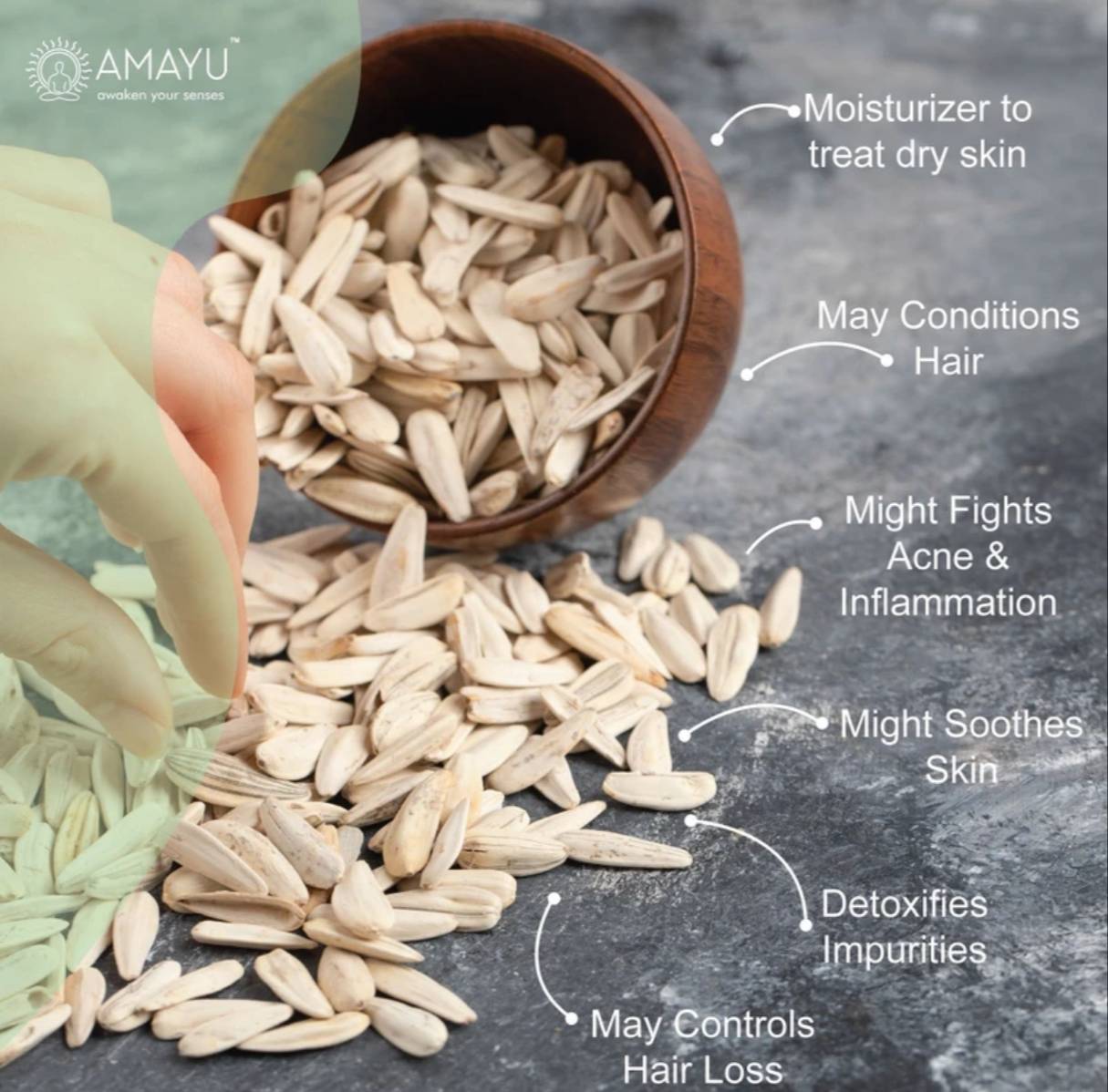 Sunflower Seeds for Eating in Chandrakona Town: Rich in Protein & Fiber - Image 1