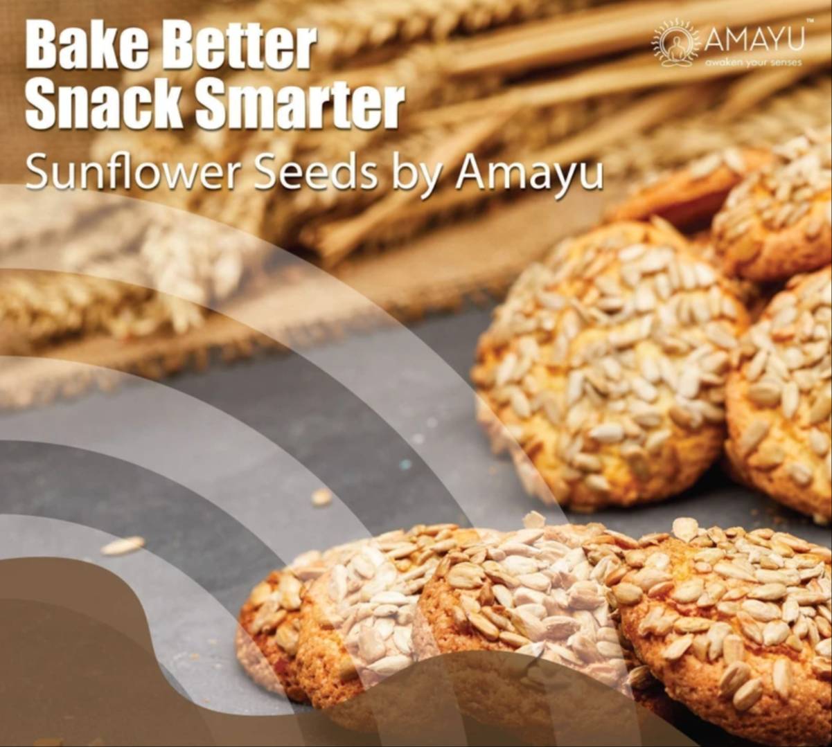 Sunflower Seeds for Eating in Chandrakona Town: Rich in Protein & Fiber - Image 4