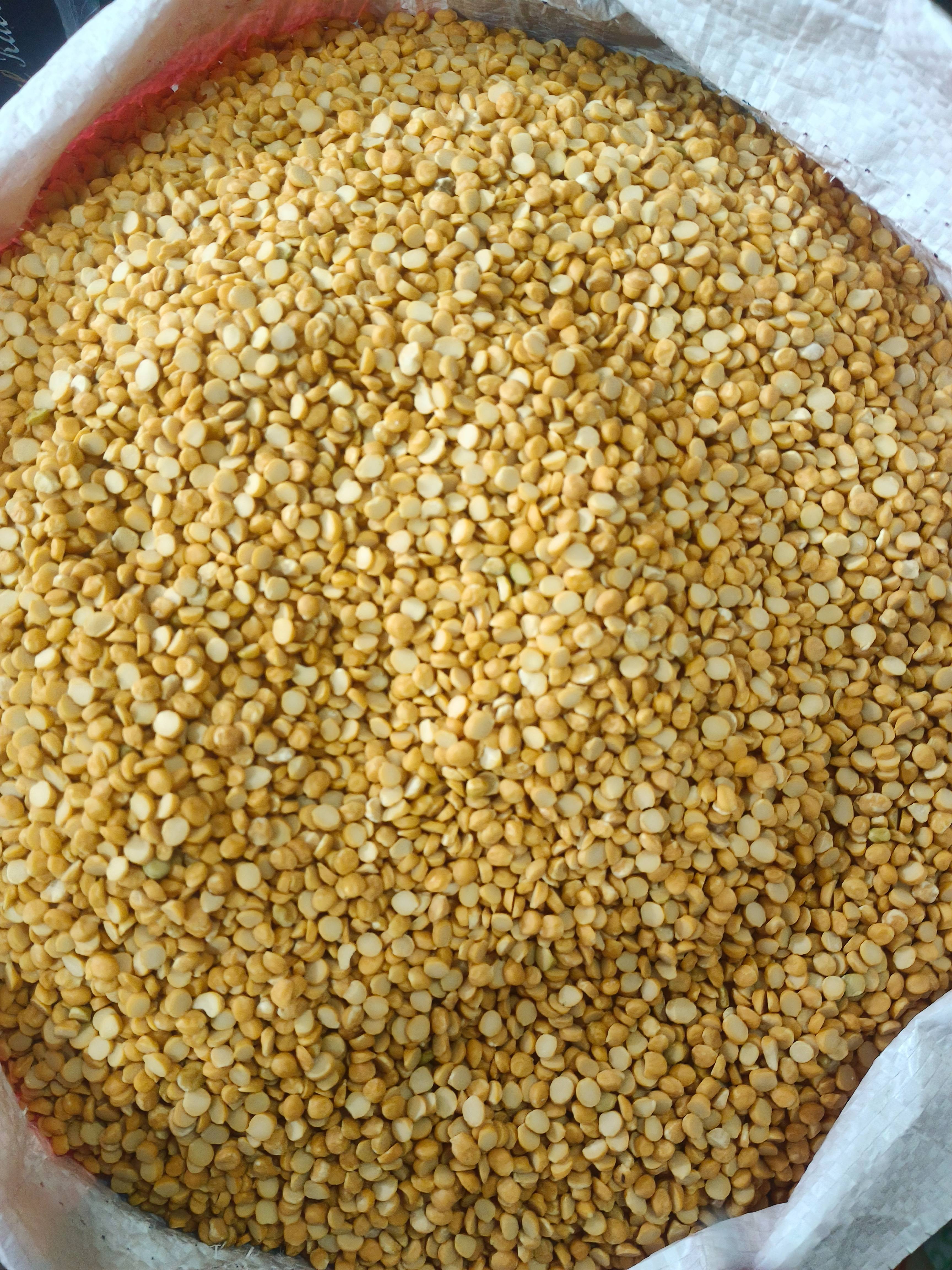 Rich & Nutty Chana Dal Protein-Rich Legume - legume/chana dal in main market hanumangali nagrota suriano for rich & nutty flavor - Buy Online at NARESH MAHAJAN KARYANA STORE