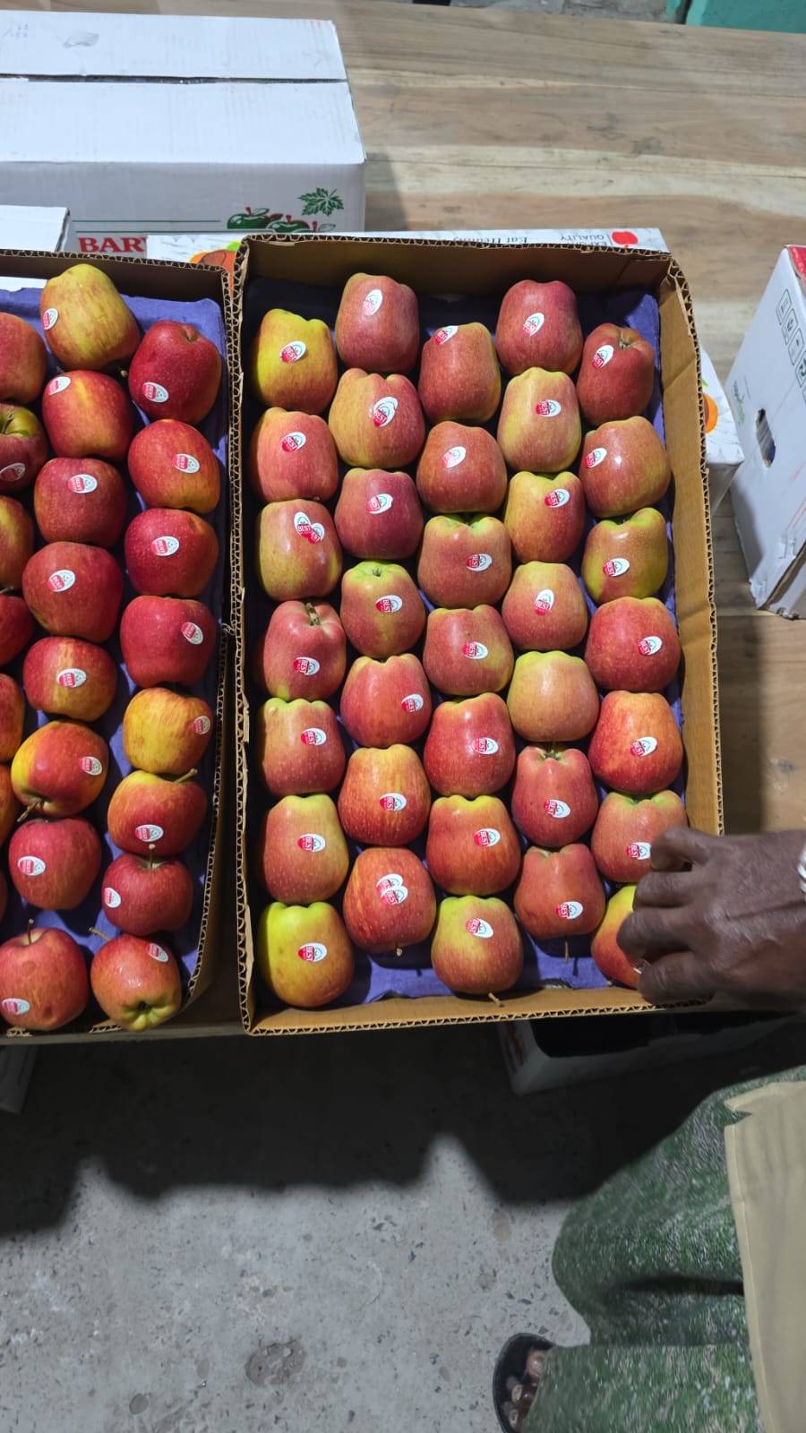 Fruits in Warangal: Fresh and Nutritious Selection -  - Buy Online at MANI FRUIT COMPANY