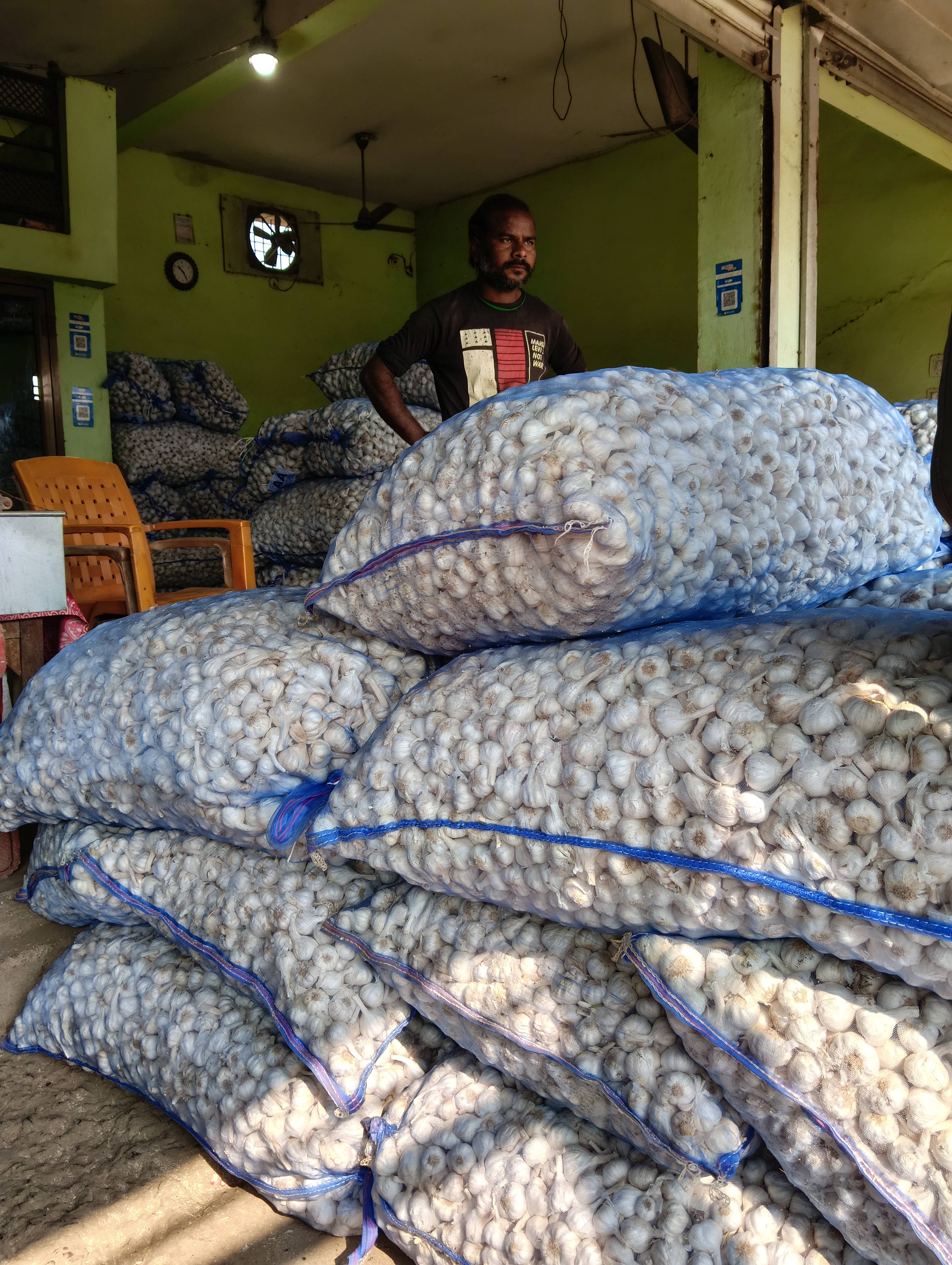 Organic Garlic Bulbs in Sanjari Traders, Deendayal Chowk - Fresh and Aromatic -  - Buy Online at SANJARI TRADERS