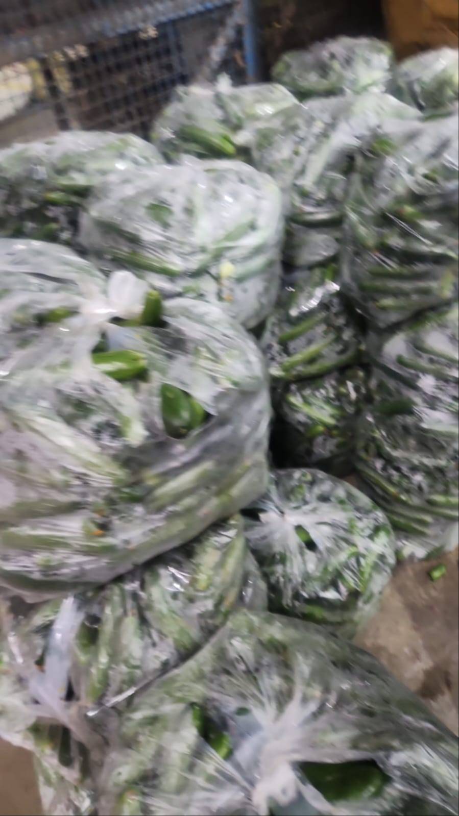 Fresh Green Chillies - Bulk Pack in Aligarh - Perfect for Large Quantities -  - Buy Online at BISHAMBAR SINGH