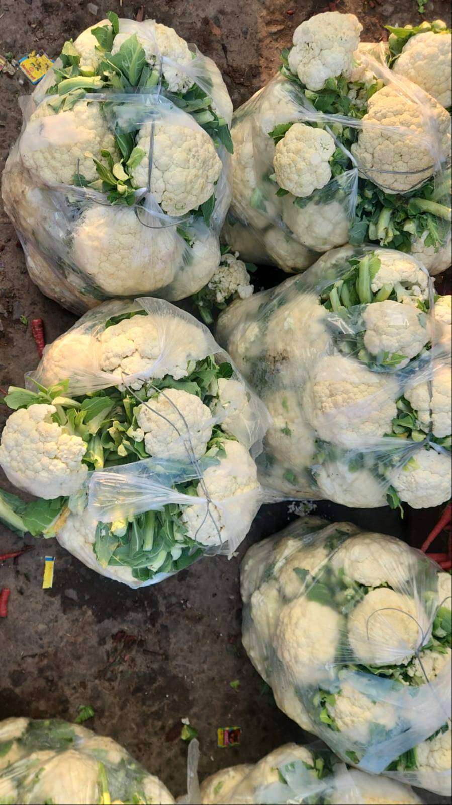 Fresh Cauliflower in Aligarh - Sahi Daam -  - Buy Online at BISHAMBAR SINGH