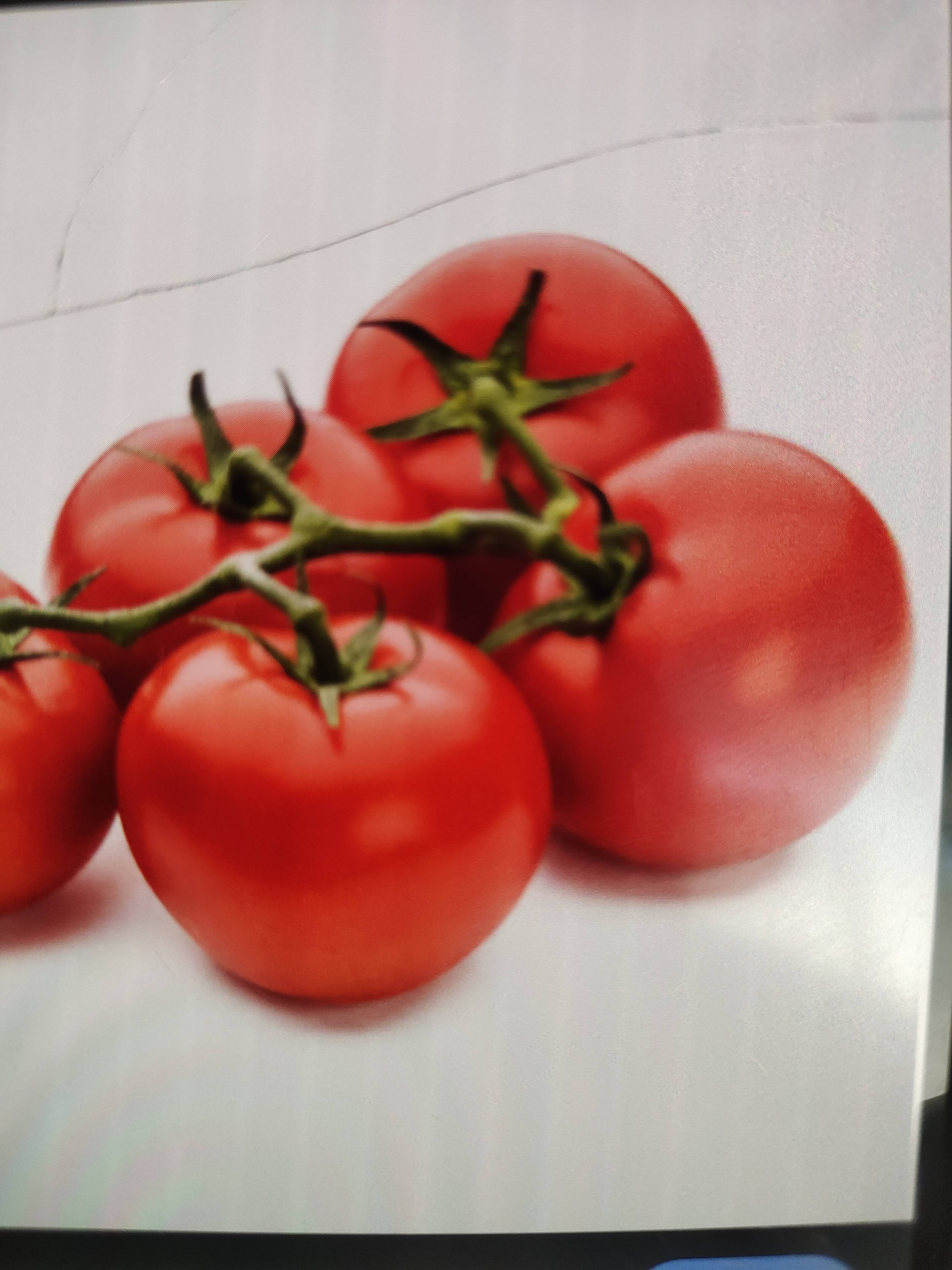 Tomato in Rewari Haryana - Fresh and Nutritious -  - Buy Online at YASHU TRADING COMPANY