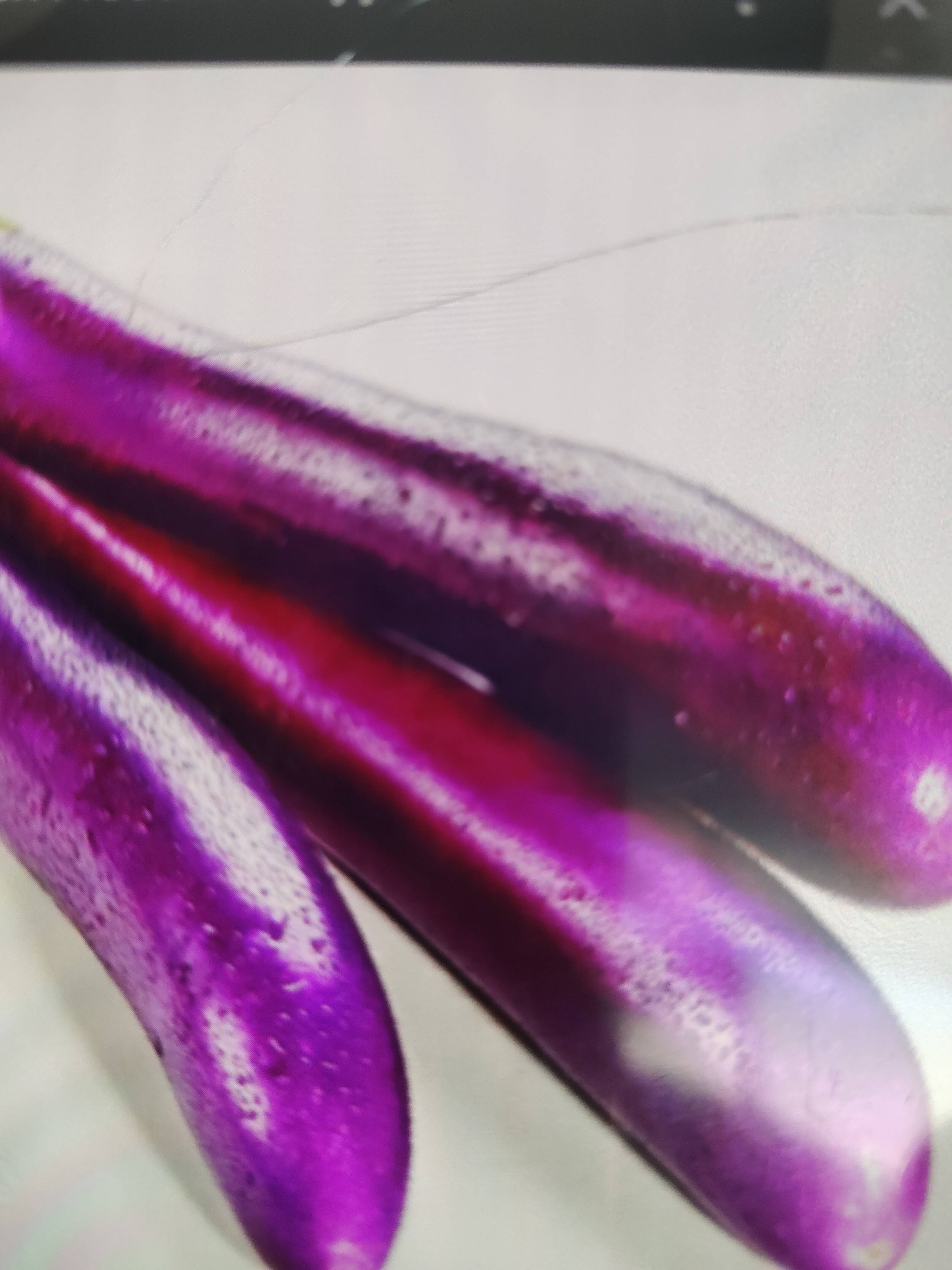 Organic Brinjal (Eggplant) in Rewari: Long Violet Variety -  - Buy Online at YASHU TRADING COMPANY