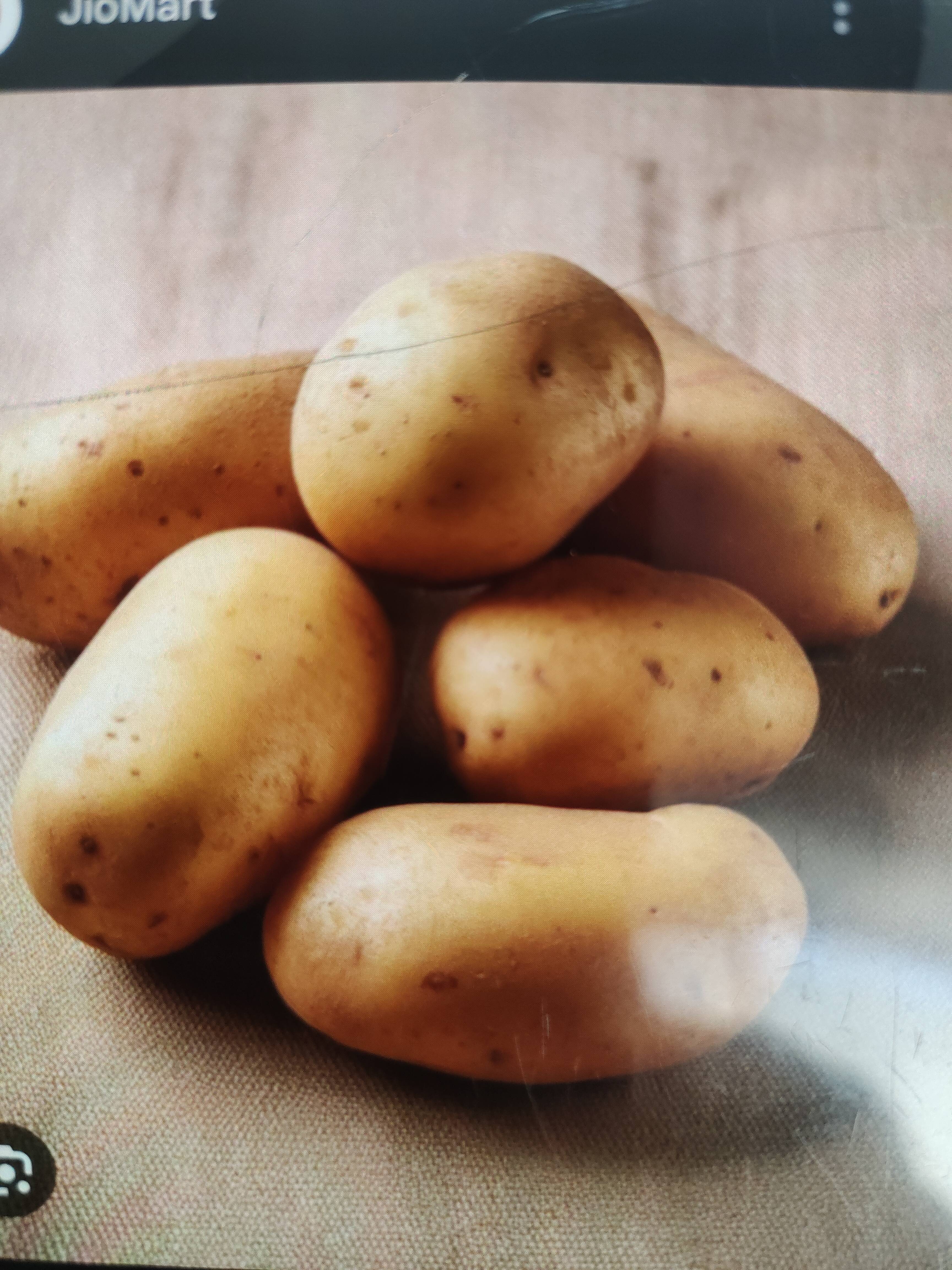 Fresh Potato in Rewari Haryana - Nutritious and Delicious -  - Buy Online at YASHU TRADING COMPANY
