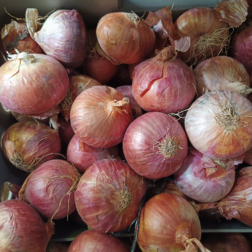  Onion 1kg SONA PROVISION STORE NO 86 5TH CROSSSHAMANNA LAYOUTLINGARAJAPURAM