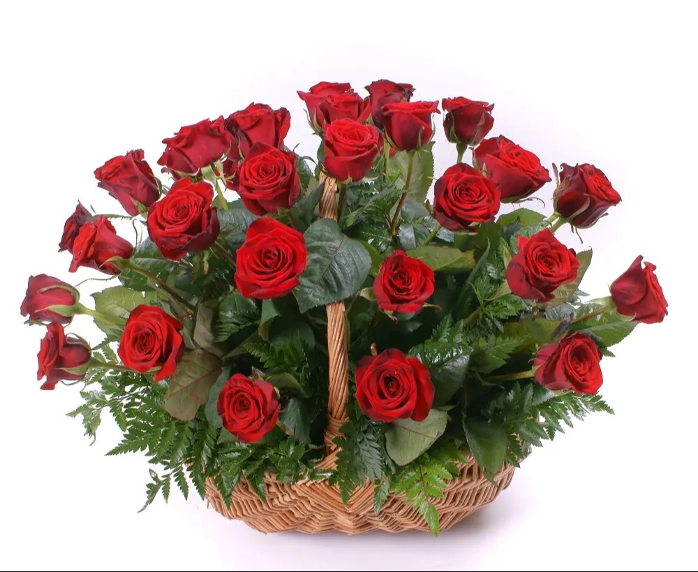 Floral Arrangement: Handle Basket Arrangement of 30 Red Roses in Davanagere - Express Love and Affection -  - Buy Online at GRT FLOWER AND DECORATOR