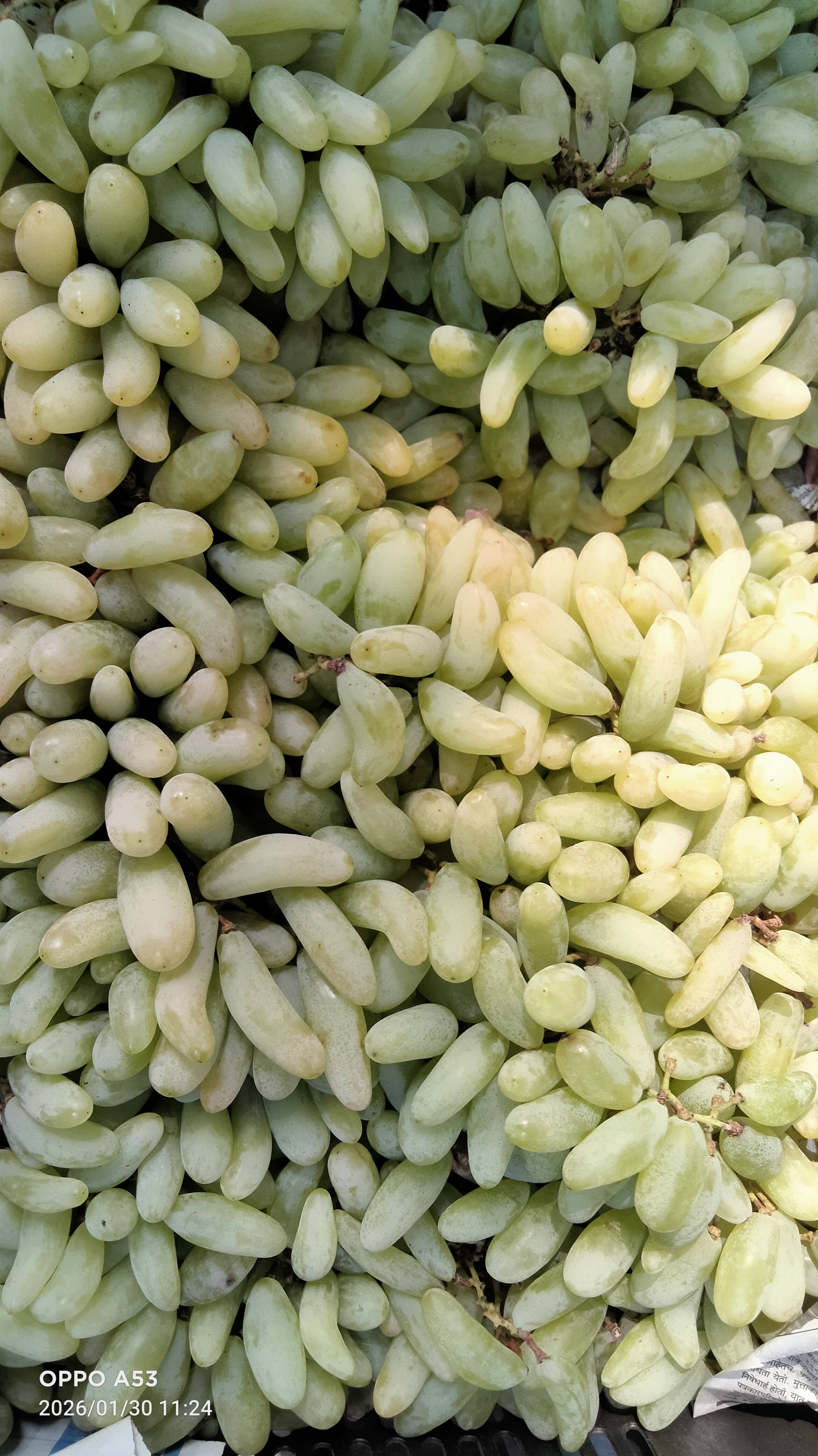 Fresh Grapes in National Highway Point Silchar - Antioxidant-Rich Snack -  - Buy Online at RUPAK GHOSH