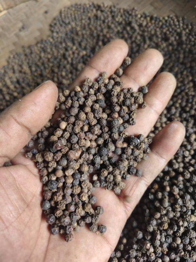  Spices/Black Pepper in Jayanagar, Season Your Dishes Perfectly AL SAAJ EXPORT AND IMPORT LLP HOUSE NO 45JAYANAGAR ROADNEAR EAST END CLUB OPP OF CAKE POINT