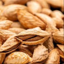 Nutty Almonds in Mumbai: Premium Raw Almonds With Shell H A EVERYDAY GOURMET SHOP NO 36 SILVER  HARMONY 2 OPP ICB  FLOORA SHUKAN GLORY ROAD STATE BANK OF INDIA ATM GOTALANDMARK Opposite Seventh Paradise