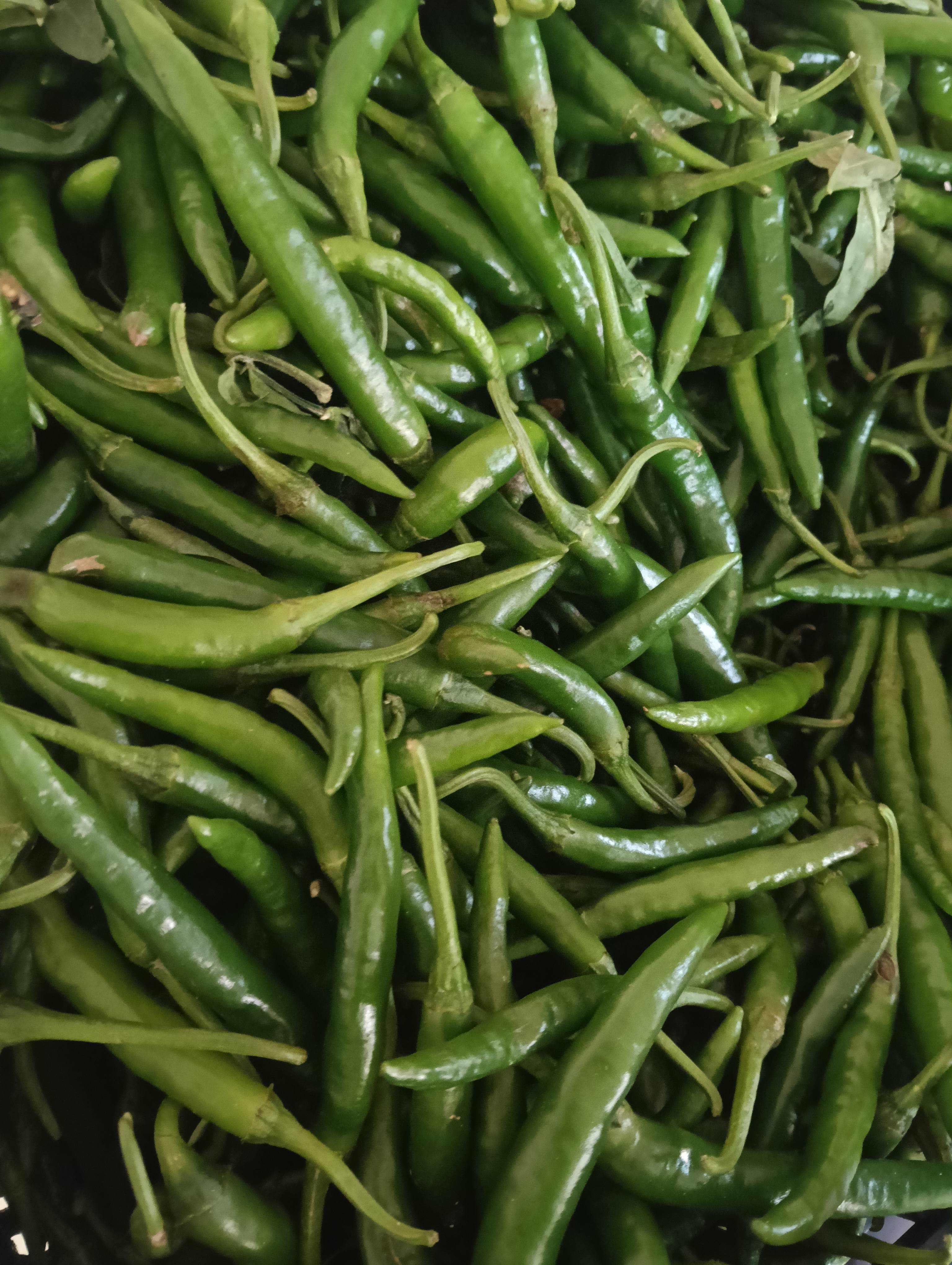 Mirchi Vegetable in Pendurthi - Spicy and Fresh -  - Buy Online at SRINIVASA VEGETABLES AND FRUITS