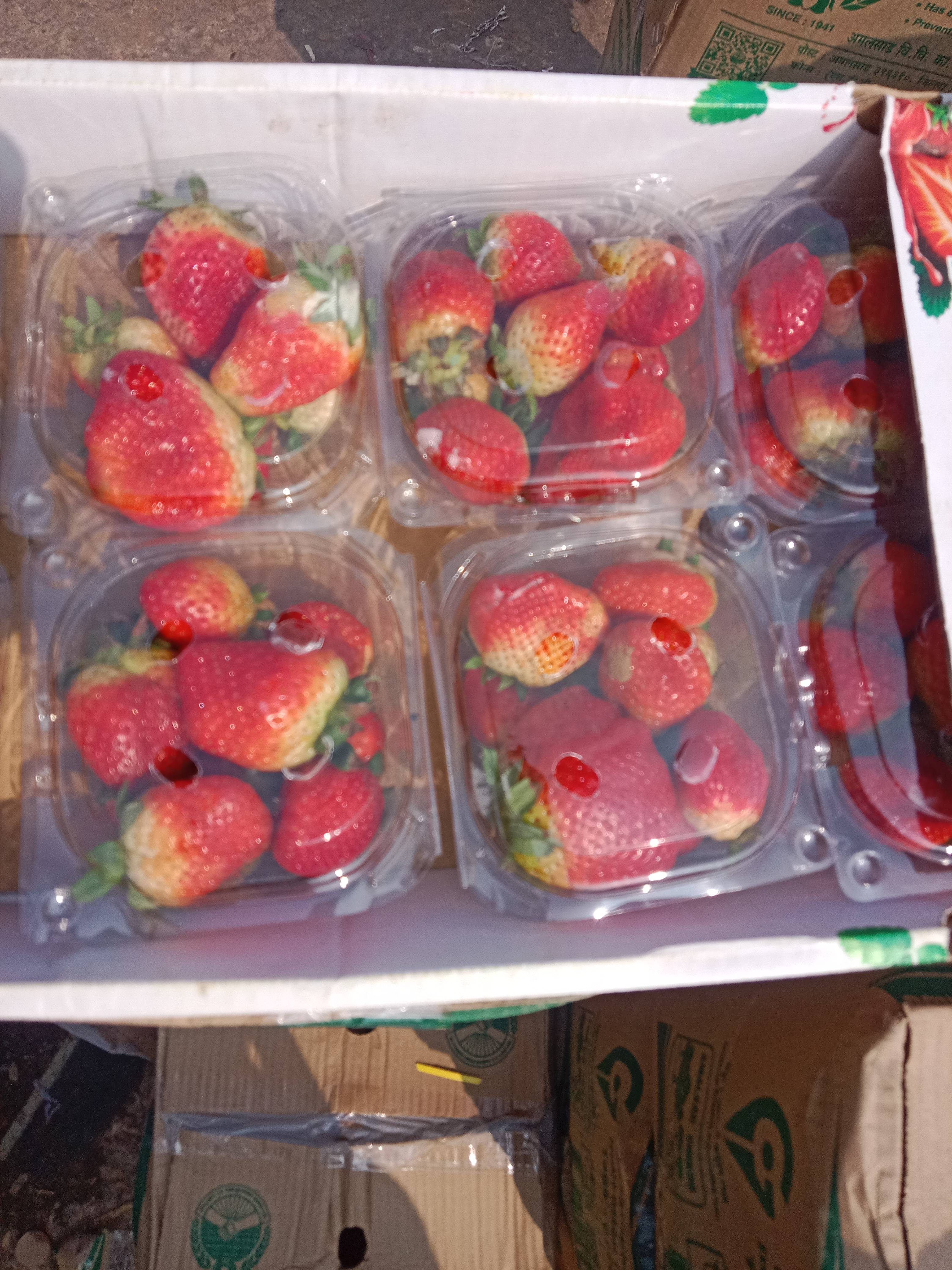 Fresh Strawberries Pack in Gurgaon - Juicy and Delicious -  - Buy Online at KISHAN FRUIT COMPANY