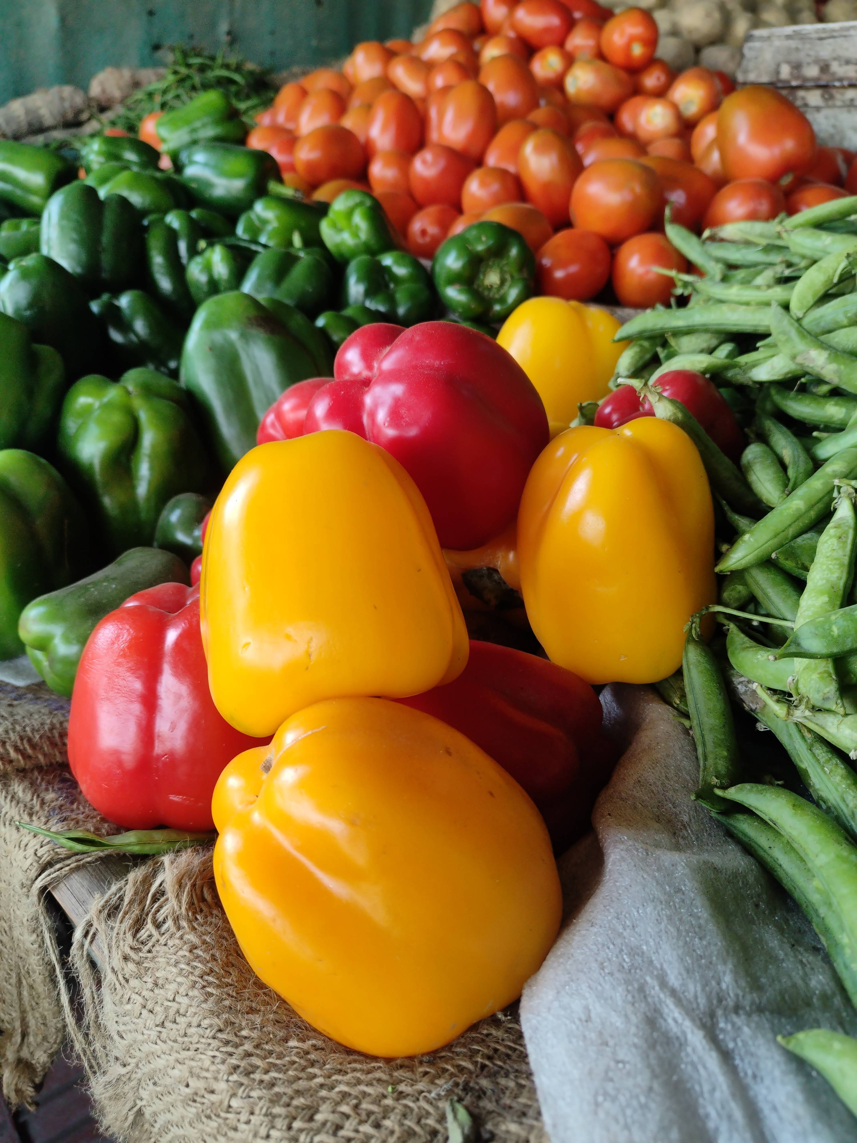 Fresh Bell Peppers in Munna Fruit and Vegetable Rahimpur - Vibrant and Crisp -  - Buy Online at AJAY KUMAR