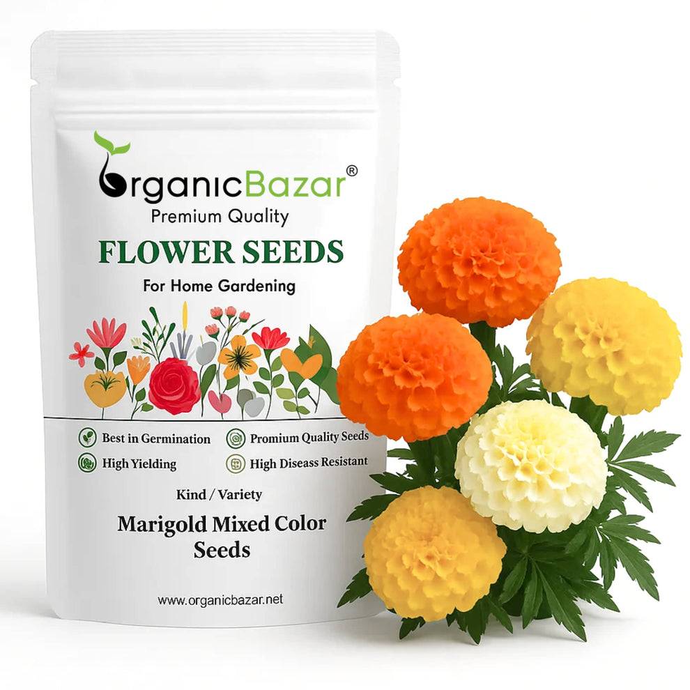  Flower Seed Genda Flower in Munna - High-Quality Seeds AJAY KUMAR Munna Fruit And  Vegetable  Rahimpur Opp Sharma Dhaba LANDMARK Near Fish Market Scheme 2