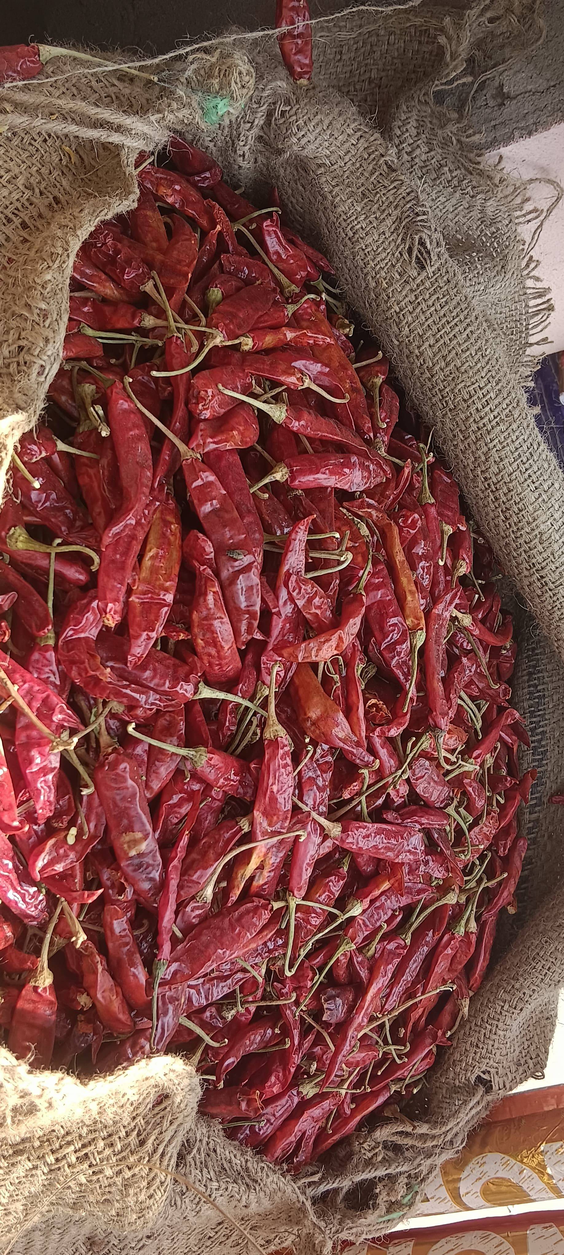 Mirchi Product in Piduguralla: Spicy Flavor -  - Buy Online at MAHESWARA GENERAL MERCHANT