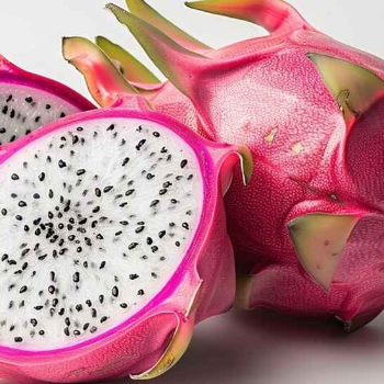  Fresh Dragon Fruit Sweet Premium Farm Produce HALARI FRUIT CENTRE Kevdawadi Street No 3 16 Corner , Kevdawadi Main Road , Rajkot
