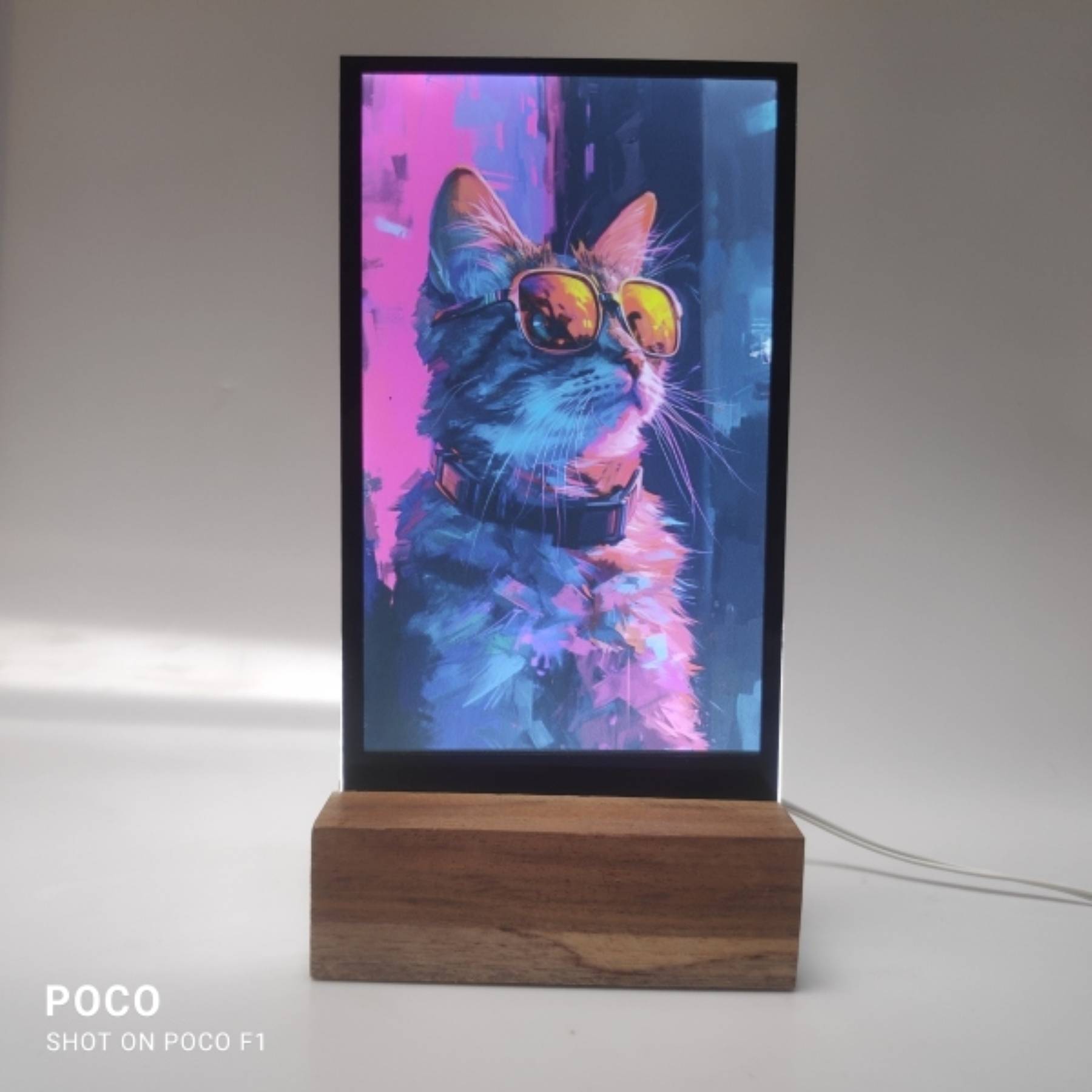 LED Frame Illuminated Cat Portrait in Bengaluru Vibrant Colors LIGHTENUP NO 215 2ND MAIN  ROAD BENGALURU  KARNATAKA 560043 560043LANDMARK Opposite Apollo Pharmacy