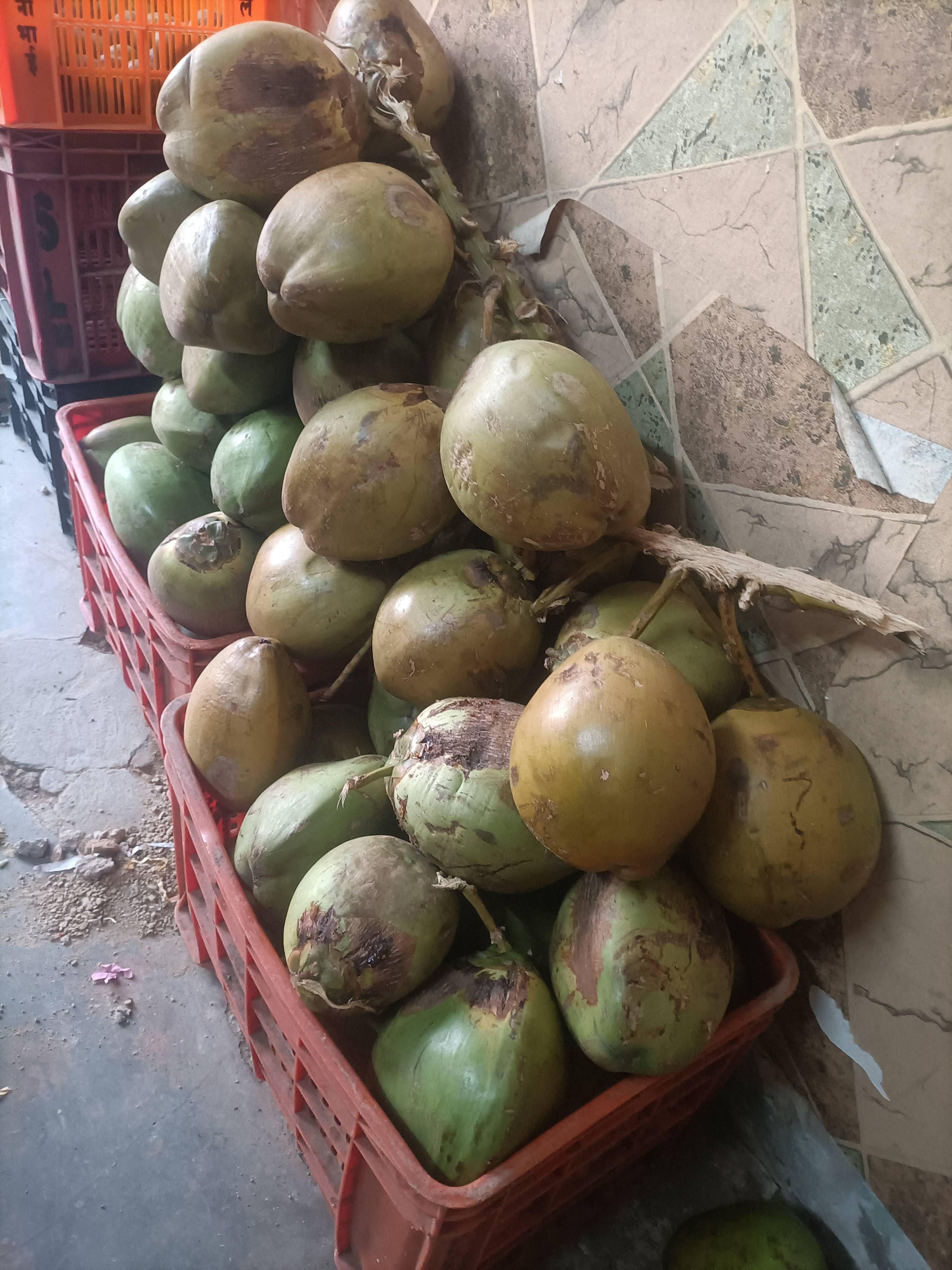 Nariyal Pani Drink in Naini - Hydrating Beverage -  - Buy Online at ABHISHEK FAL AND JUICE