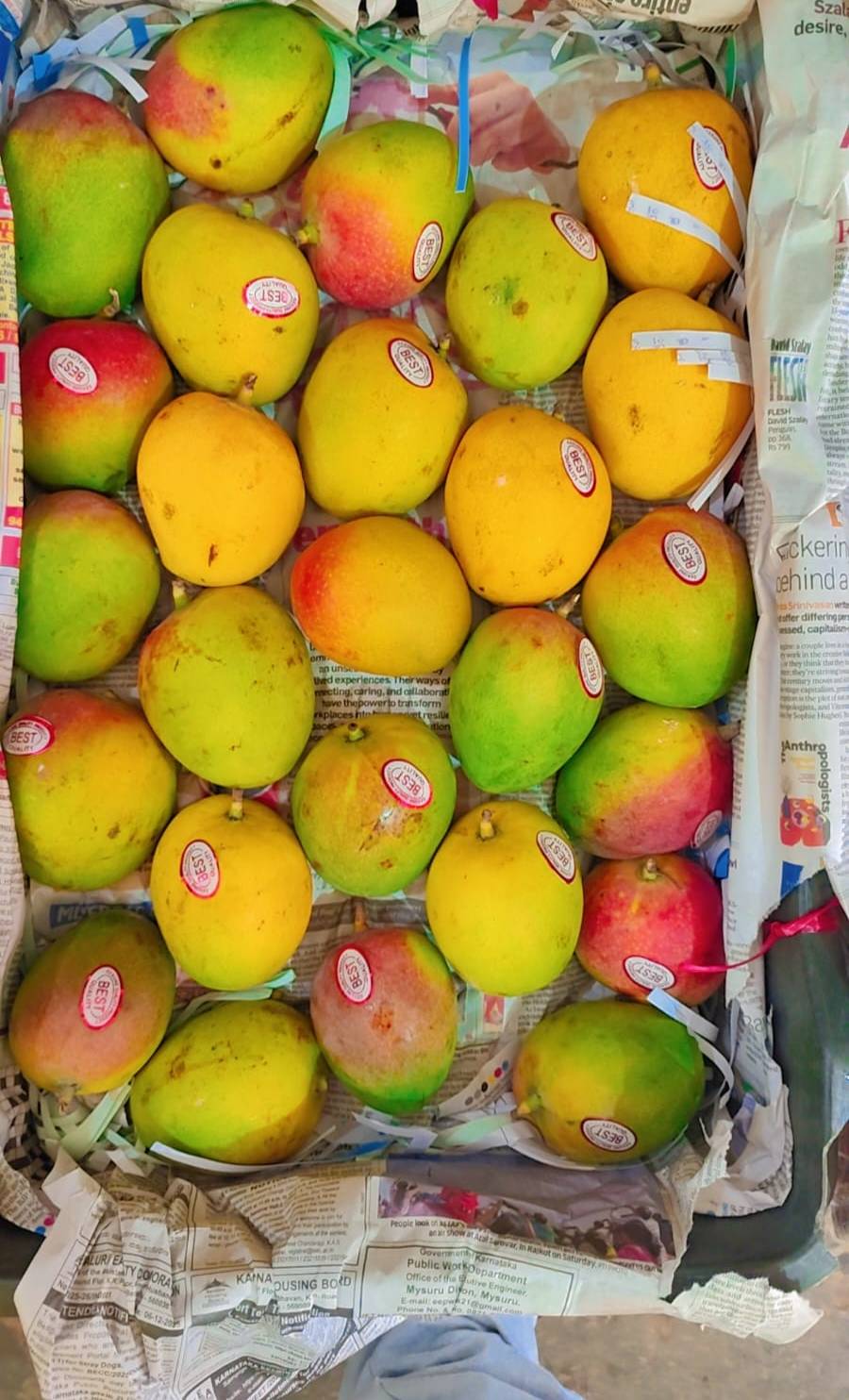  Mango Fruit in Silchar: Fresh and Nutritious Tropical Delight RUPAK GHOSH NATIONAL HIGHWAY POINT SILCHAR  DIST CACHAR OPP VIVEKANANDA HOSPITAL LANDMARK Near Vivekananda Speciality Hospital