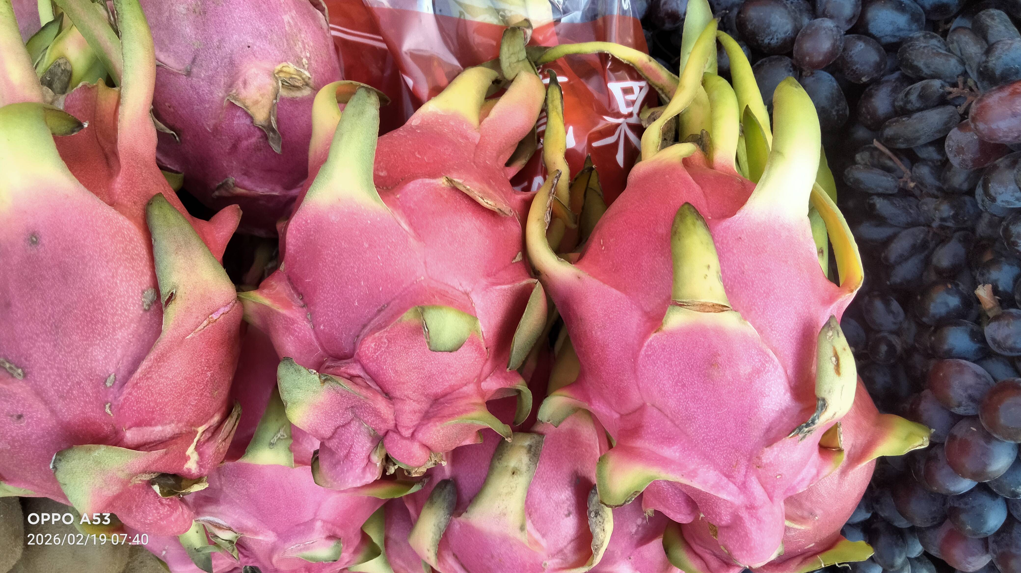 Gaming Mouse Dargon in Silchar: Unrivaled Precision for Seamless Gameplay -  - Buy Online at RUPAK GHOSH