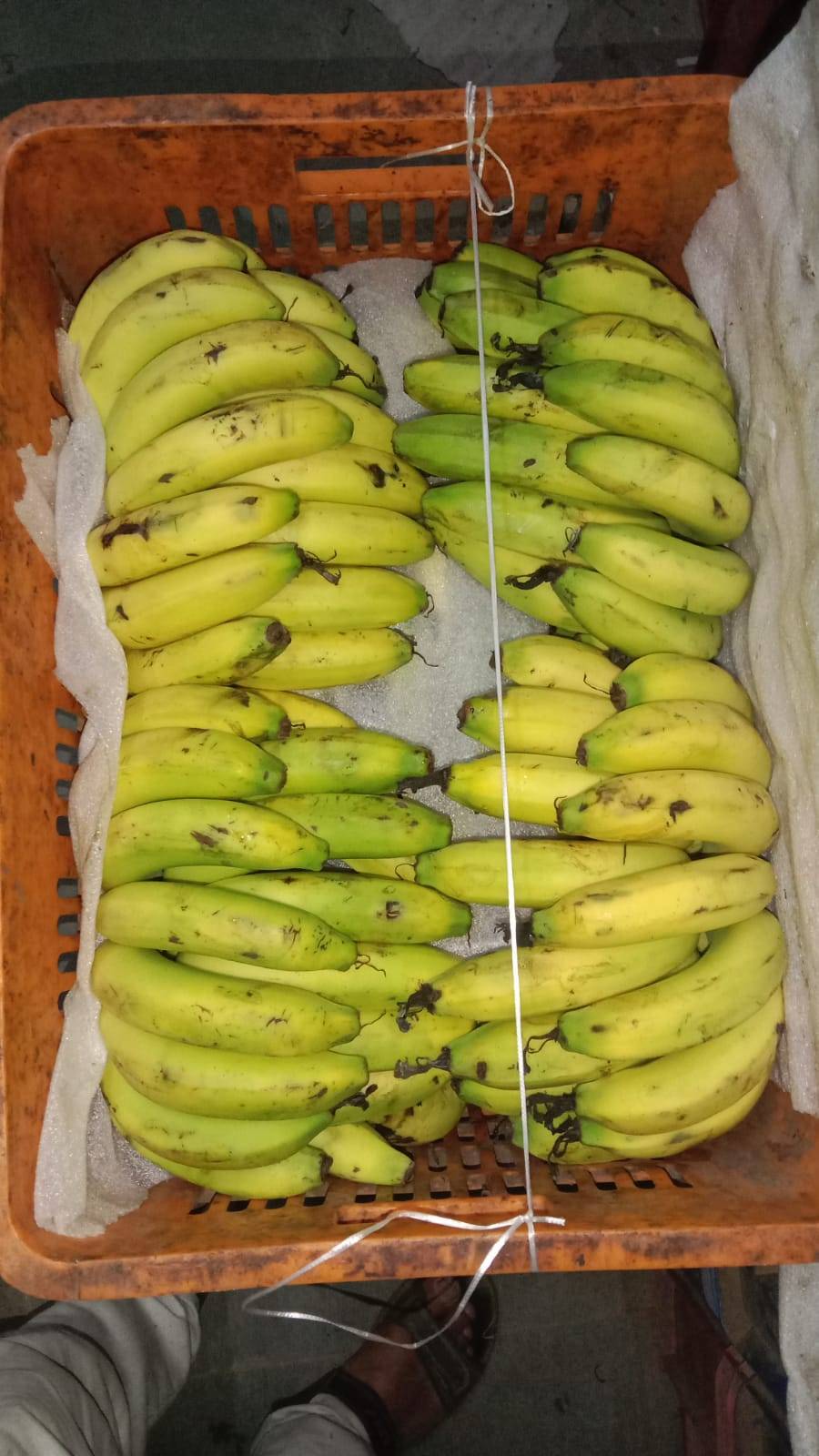 Banana in Sivam Fal and Juice Corner Naini - Good for Health -  - Buy Online at shivam fal and juice corner