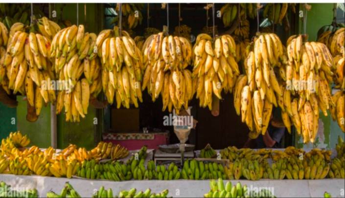 Banana Shop in Mohamed Jahangir - Fresh and Delicious Bananas -  - Buy Online at MOHD JAHANGIR