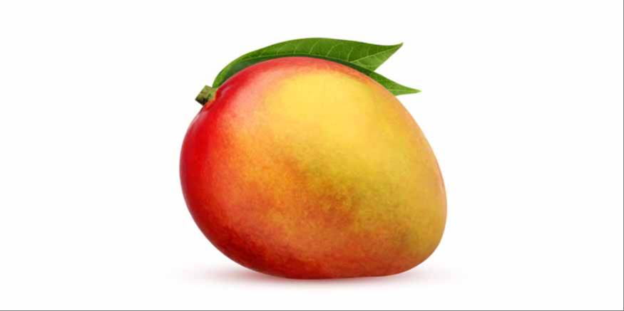 Fresh Alphonso Mango in Kasturithong Thangalkasturi ITC - Juicy and Sweet -  - Buy Online at VIVEK KUMAR DAS FRUIT SHOP