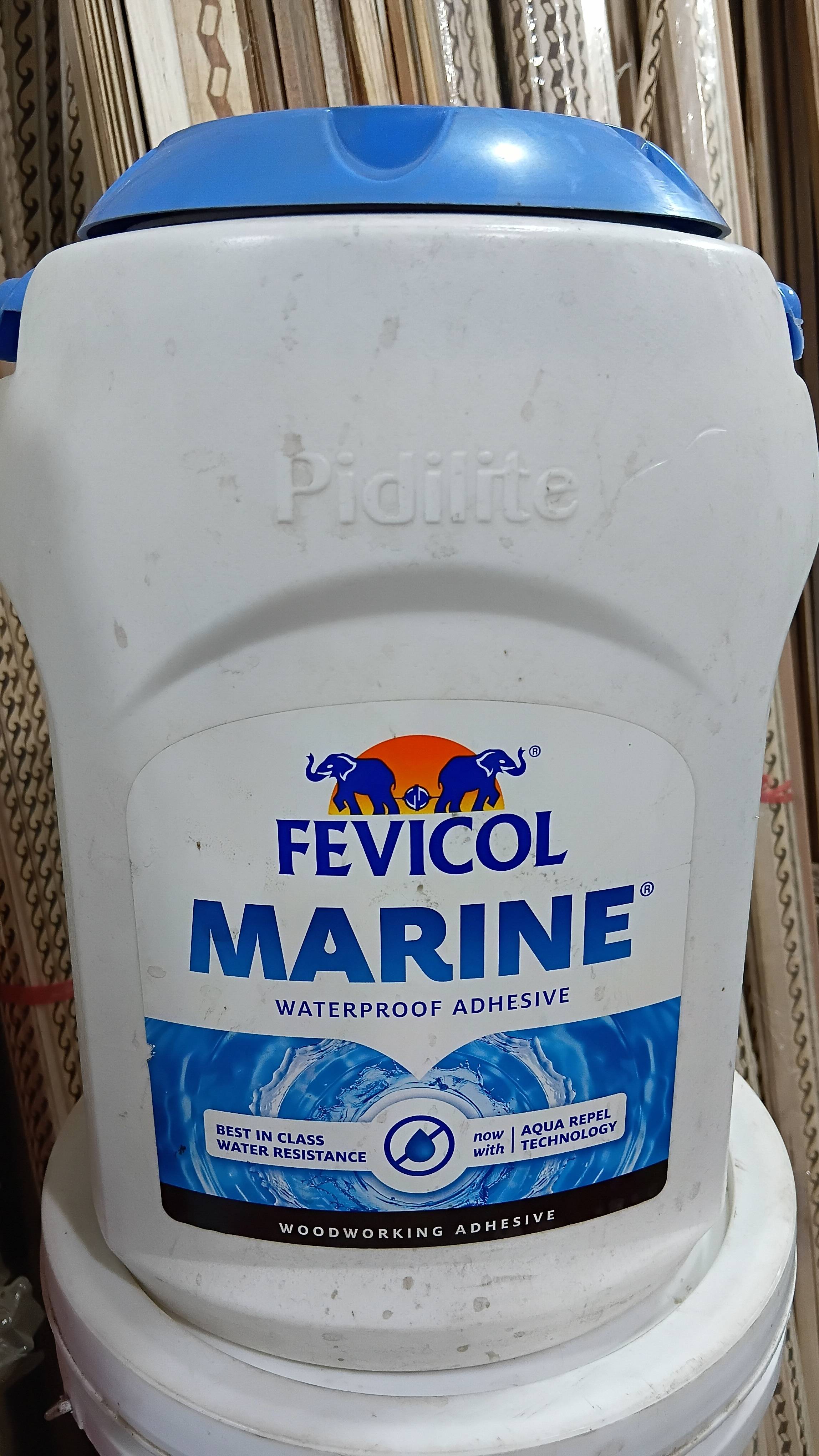 Fevicol Marine Adhesive in Glass House, Mairwa - Waterproof and Durable -  - Buy Online at GLASS HOUSE