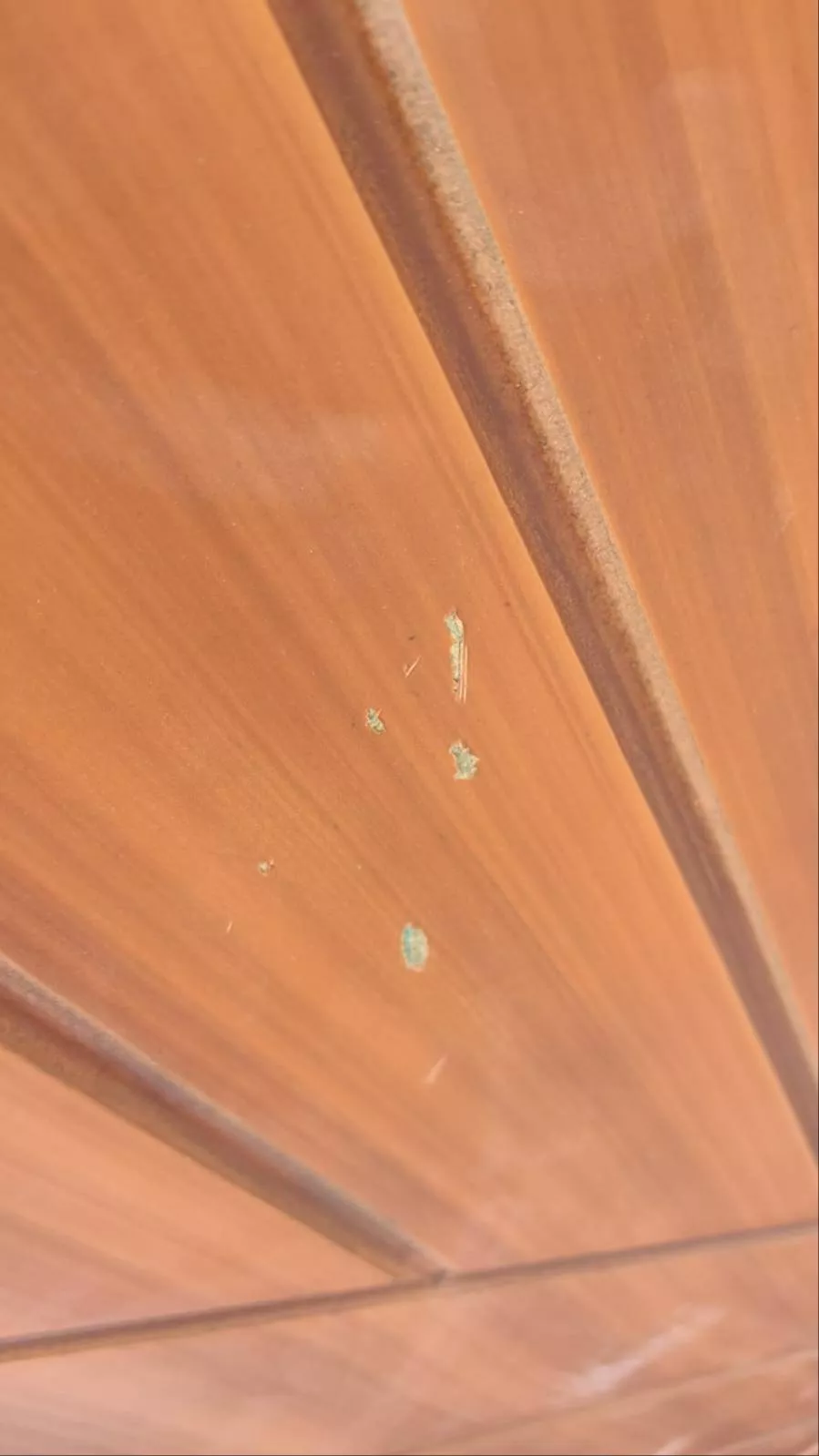 Wooden Laminated Sheet in Deru Majra Khalsadhaba Ropar - Durable and Versatile -  - Buy Online at TR KANG DOOR