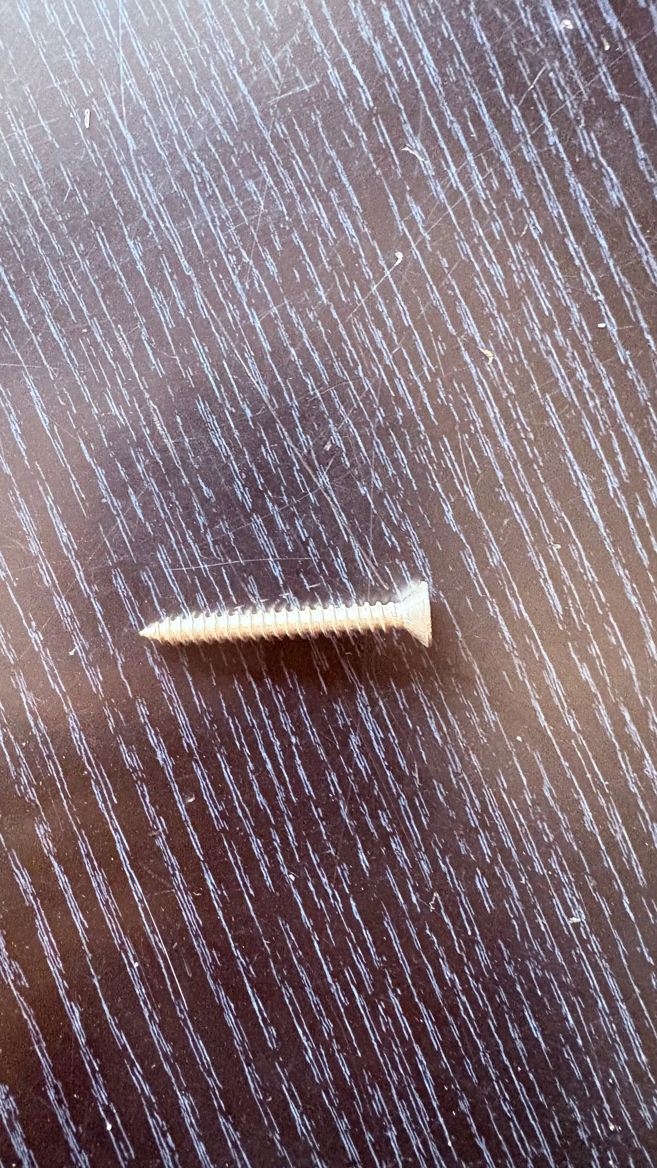 Stainless Steel Wood Screw in Imphal - Secure Fastening -  - Buy Online at YENGKHOM SURAJ SINGH