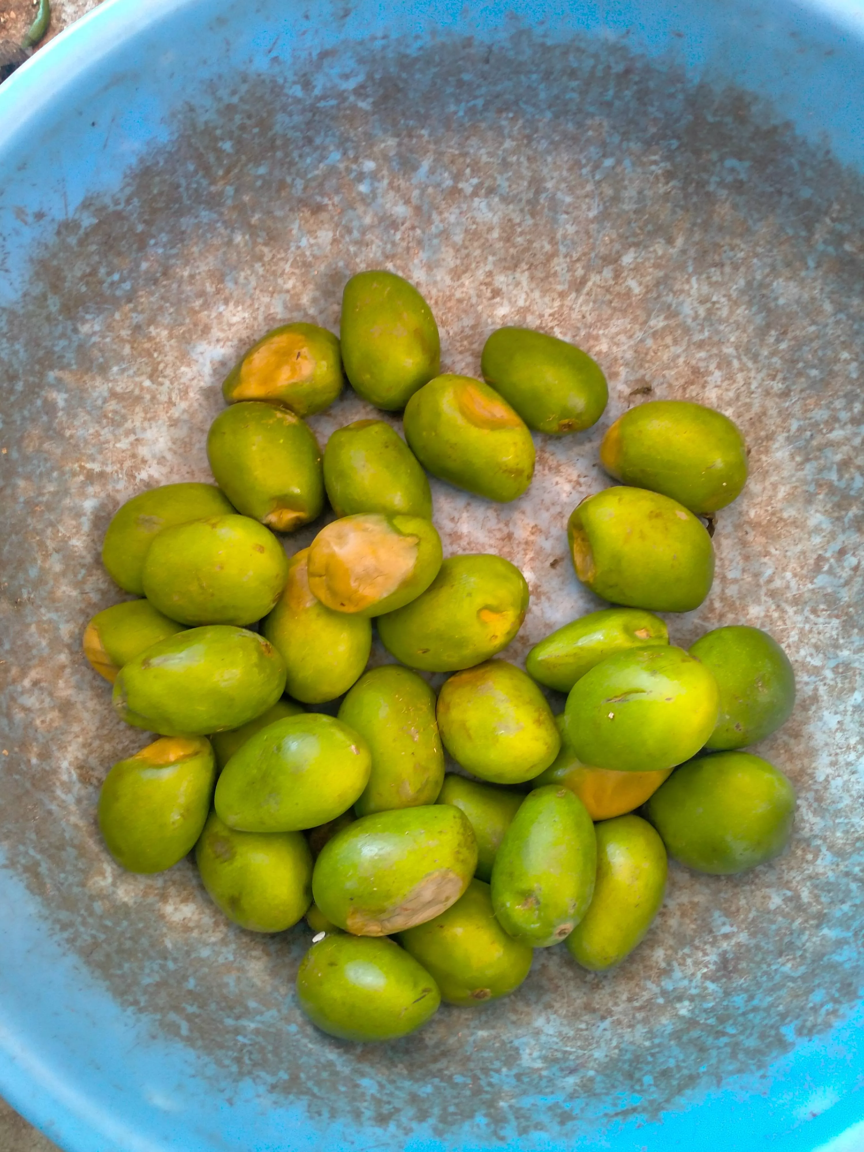 Fruit in Nk And Company Akot - Fresh and Nutritious -  - Buy Online at N K AND COMPANY