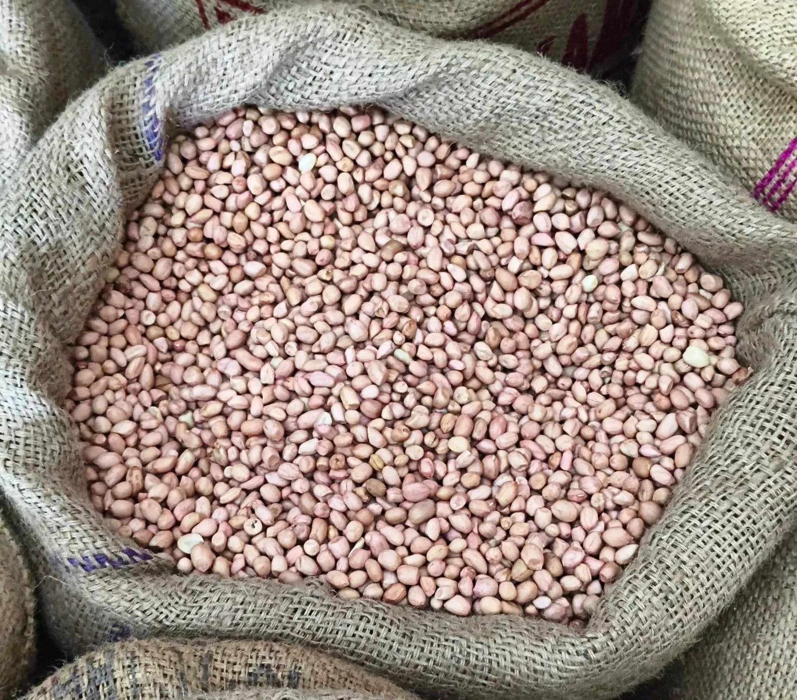 Geeta Traders Mung Falli in CO Sangutkar Nagar Key Benefit -  - Buy Online at PRAMOD YADAO TARALE