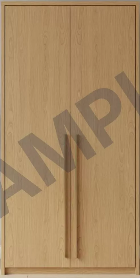 Oakwood 2-Door Wardrobe -  - Buy Online at SHREE SHYAM ENTERPRISES