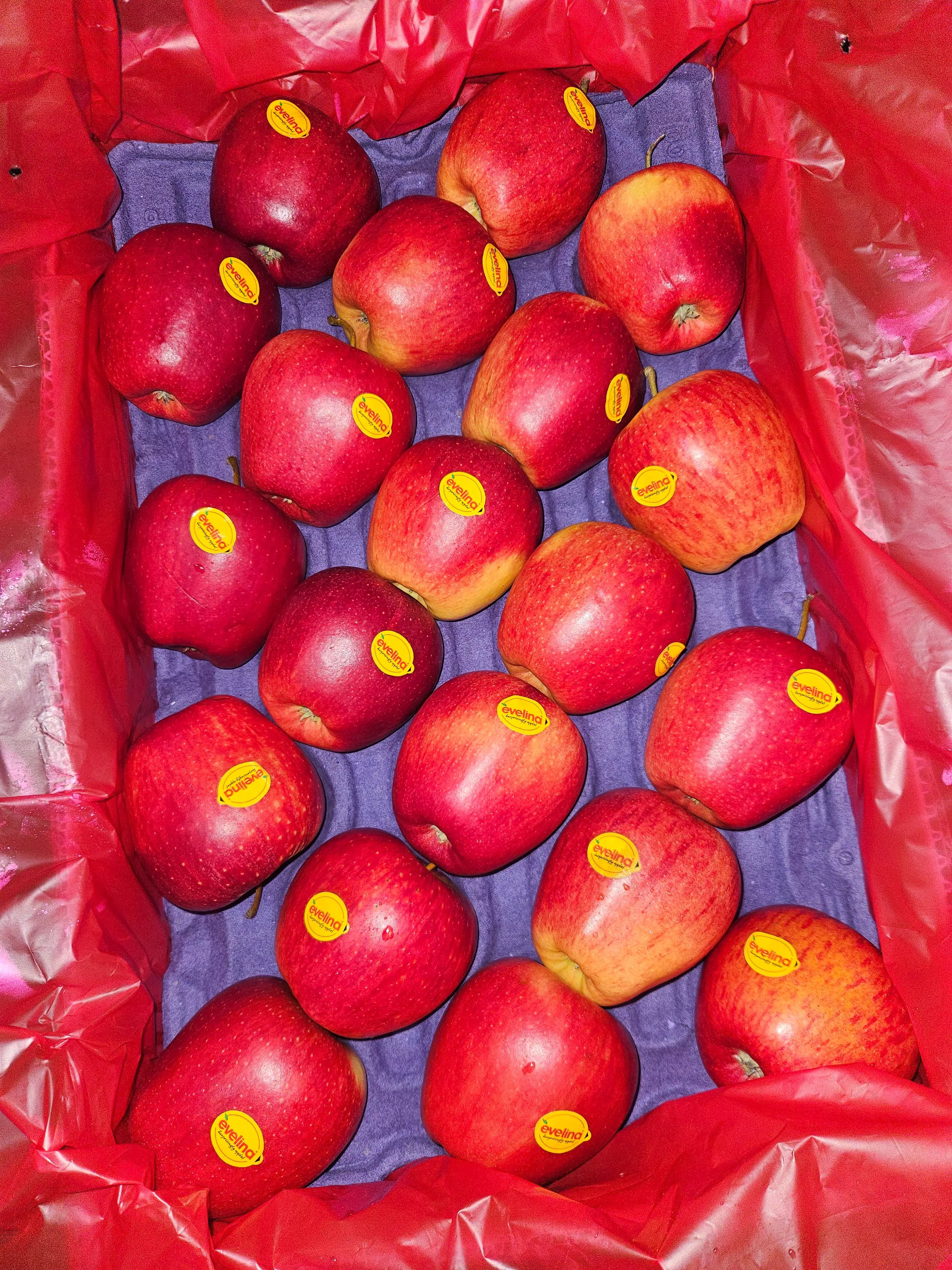 Evelina Red Apples in [Location (city only)] - Premium Quality and Delicious Taste -  - Buy Online at SHARMA FRUIT HOUSE