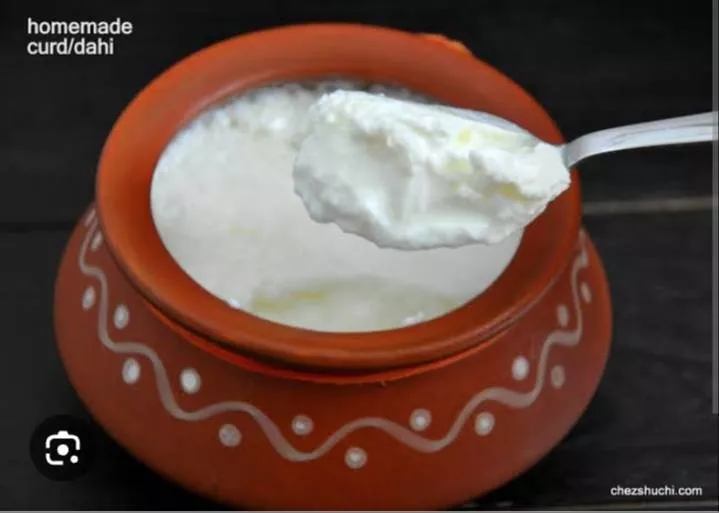 Anmol Dairy Dhai in Chhachhrauli - Rich in Probiotics -  - Buy Online at MANOJ KUMAR