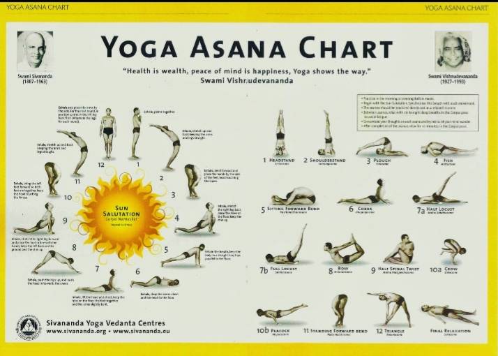  Sivananda Yoga Session in Civil Lines: Complete Yoga Asana Chart for Home or Studio Use SIVANANDA YOG ASHRAM TRUST CIVIL LINENEAR ICICIBANK OPP MAHALLA THANA