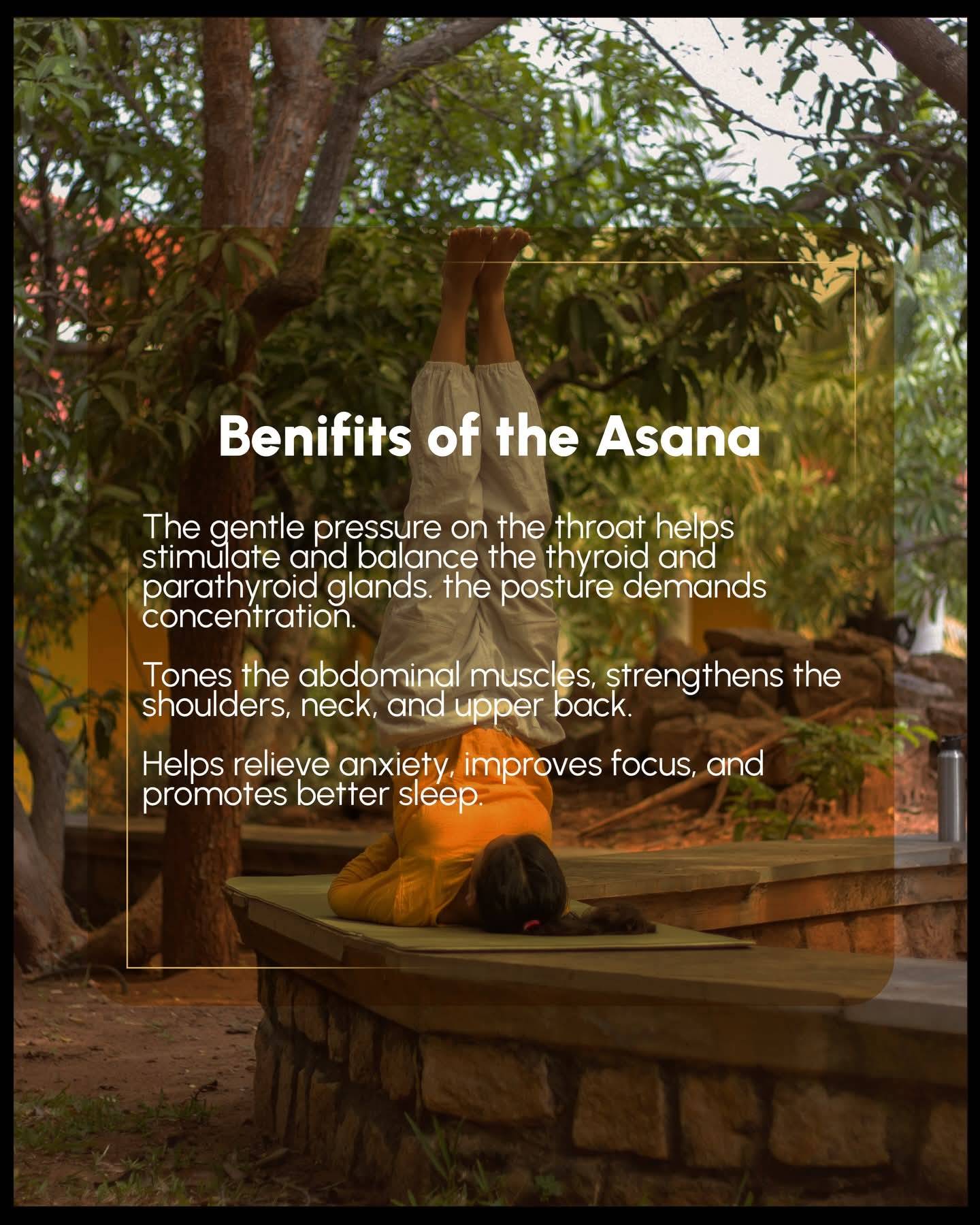  Yoga Inversion Board in Civil Line for Enhanced Stability and Comfort SIVANANDA YOG ASHRAM TRUST CIVIL LINENEAR ICICIBANK OPP MAHALLA THANA