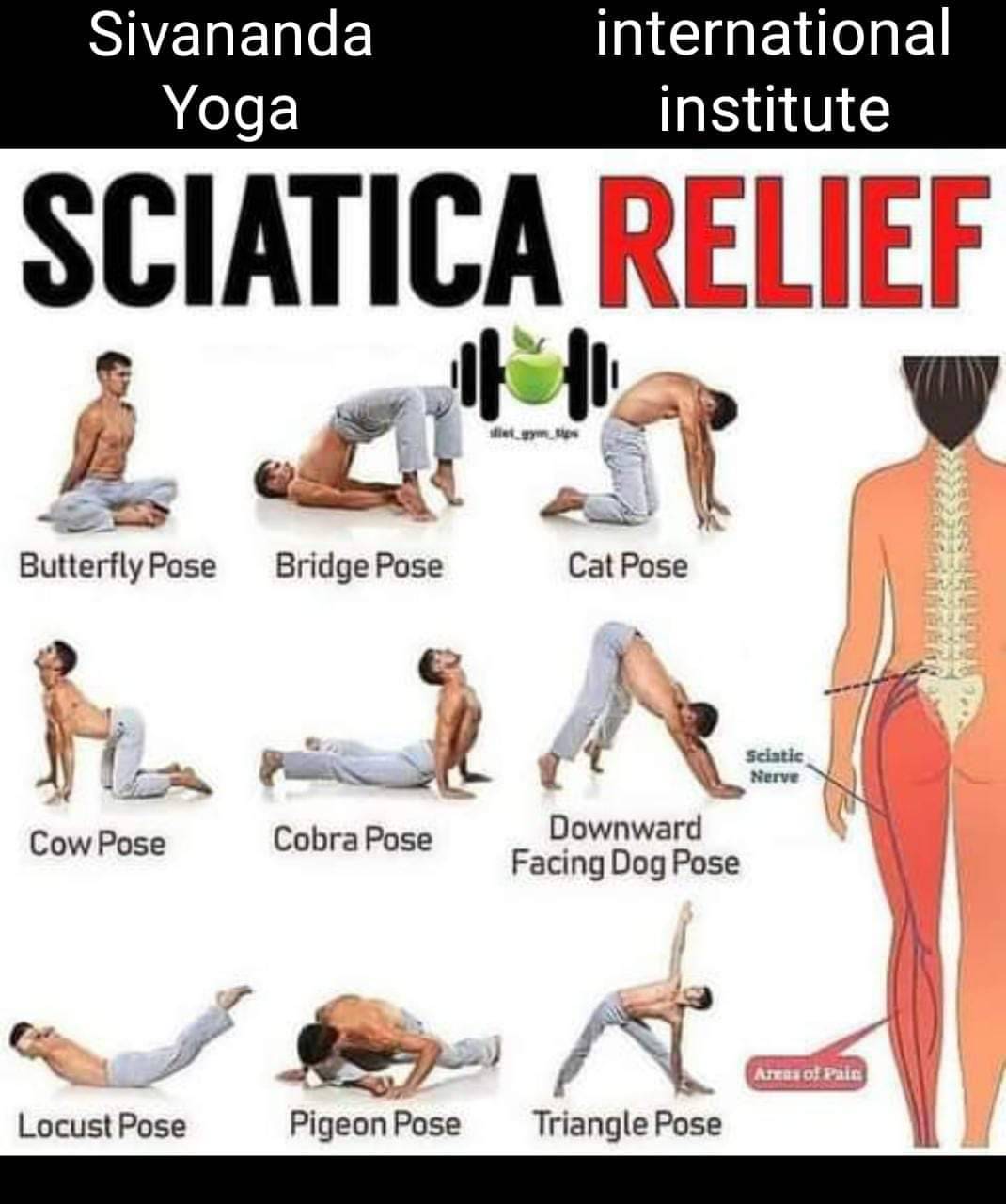 Yoga Pose Sciatica Relief in Civil Line Key Exercise - Image 1