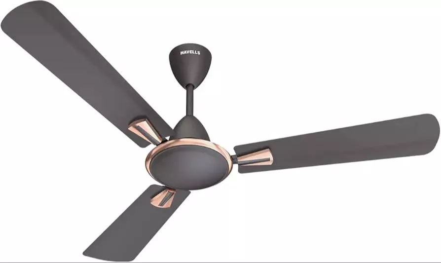 Havlles Fan in Delhi - Powerful Cooling -  - Buy Online at DELHI ELECTRICALS