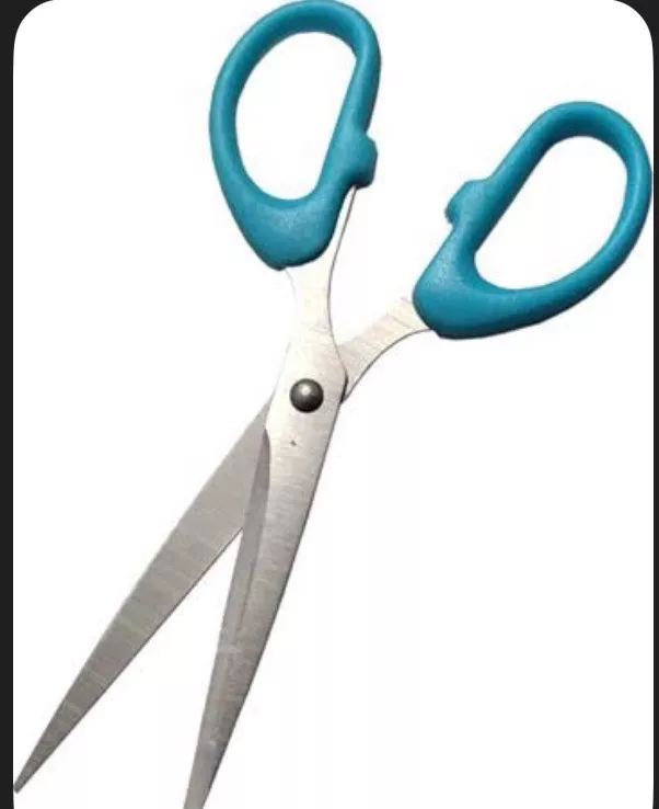 Stainless Steel Scissors in Sultanpur Lodhi - Ergonomic Handle for Precise Cuts -  - Buy Online at PRITAM LAL