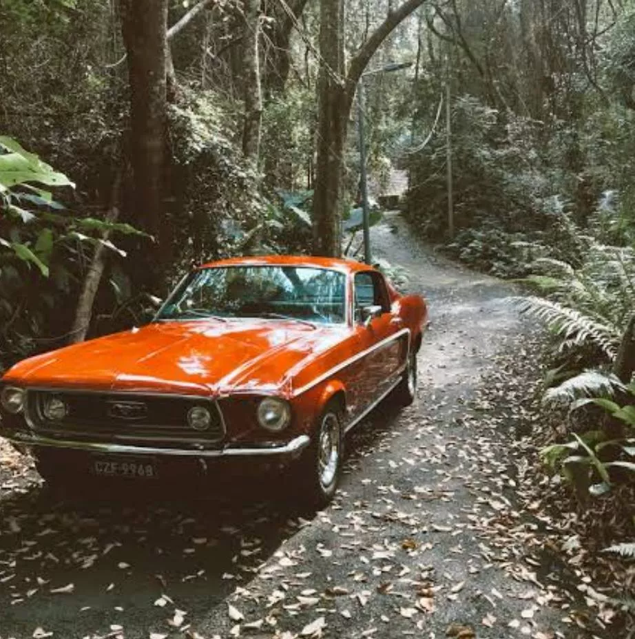 Car in GURU MOTOR GARAGEMAIN ROAD BANGANAWANSHAHR Versatile Transportation Solution -  - Buy Online at GURU MOTOR GARAGE